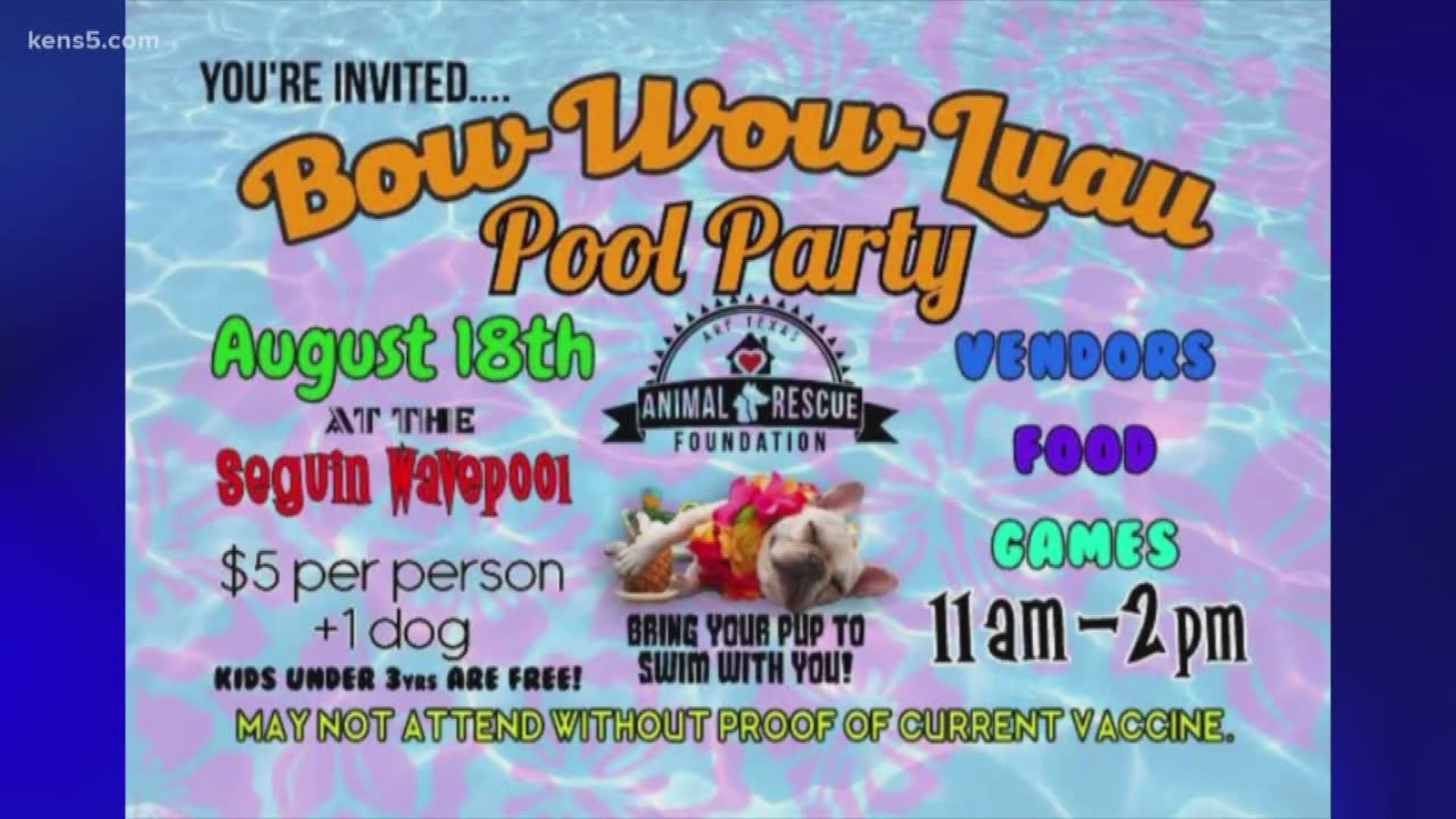 The Bow Wow Luau pool party is next Sunday, August 18, from 11 am to 2 pm, at the Seguin wave pool. You can bring your pup to swim with you! Just make sure you bring proof of current vaccinations.