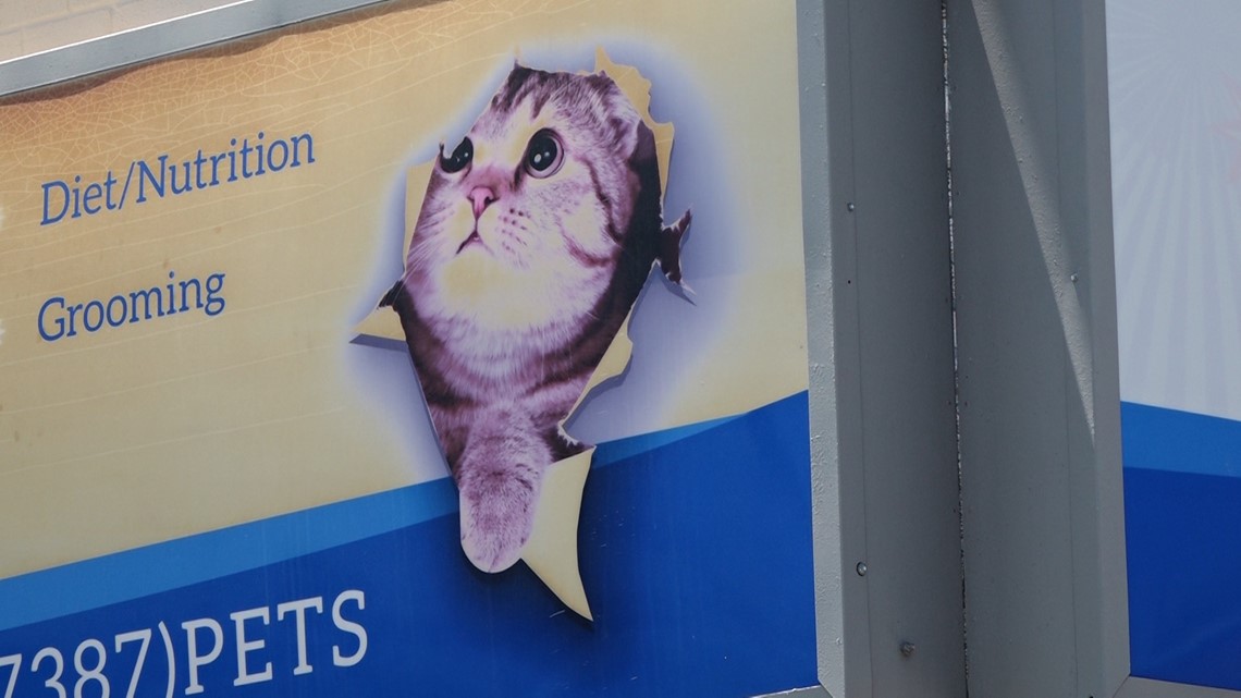 Texas animal hospital now offering coronavirustesting for pets