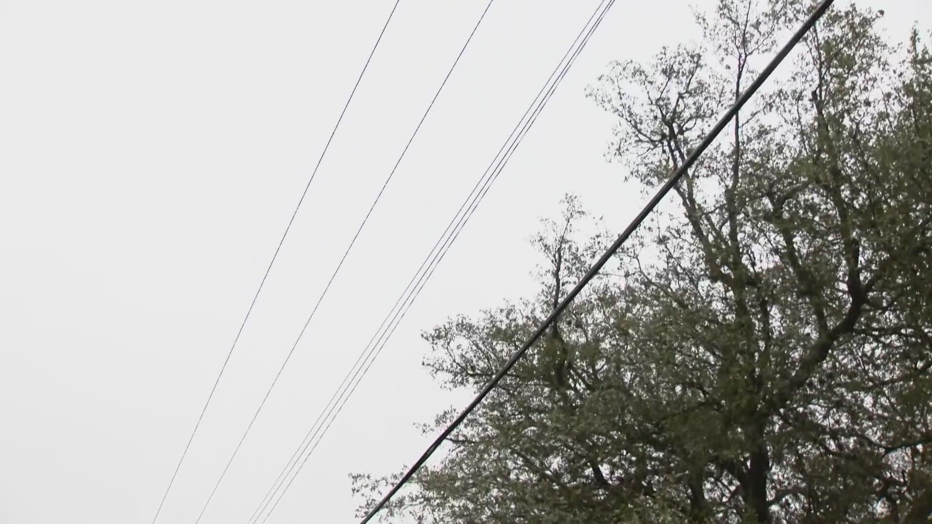 "We're preparing for outages," said Tachi Hinojosa, CEO of Central Texas Electric Co-op. "It's not a matter of 'if,' but 'when.'"
