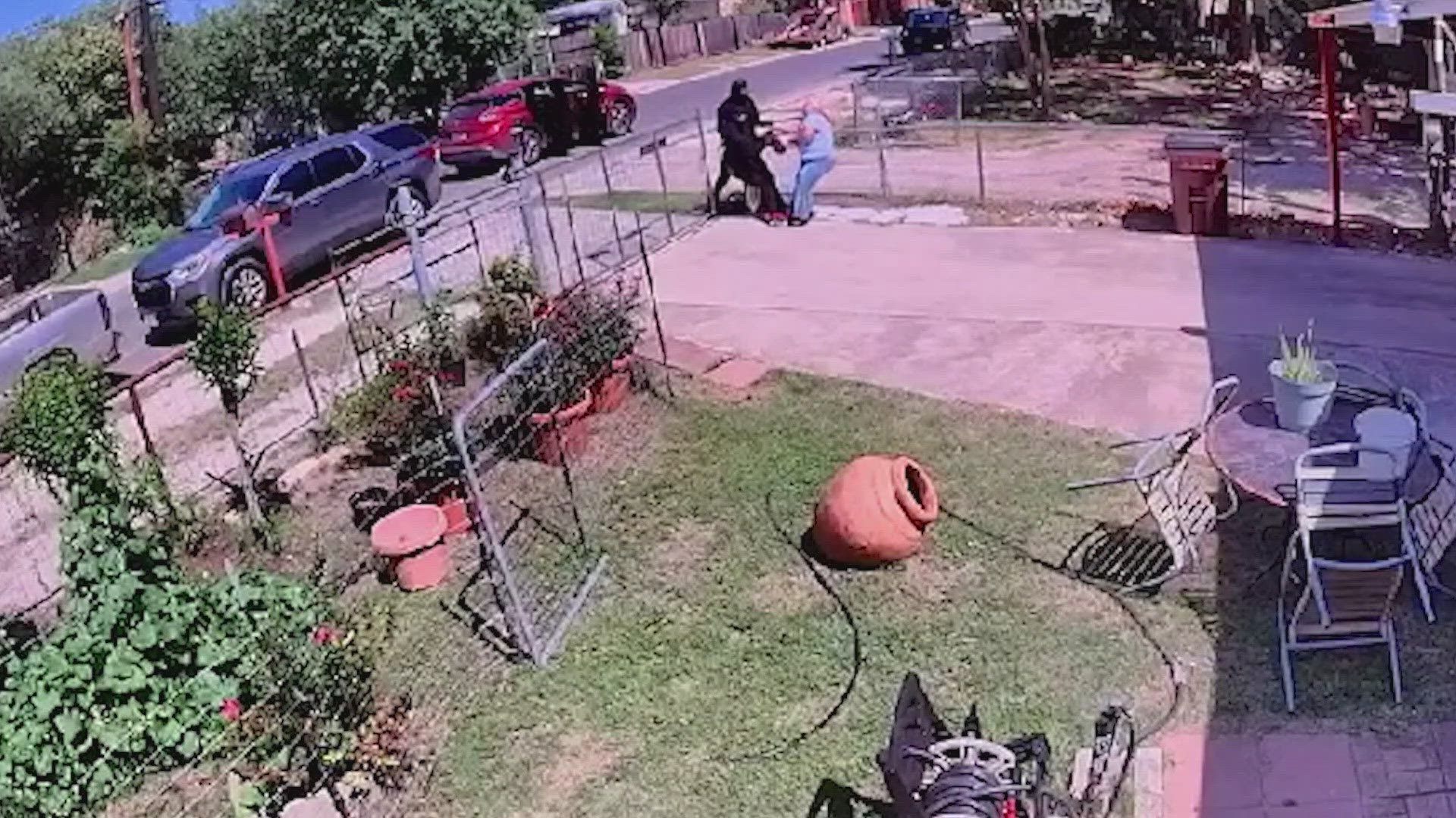 Family pet comes to the rescue of San Antonio woman as she fought off ...