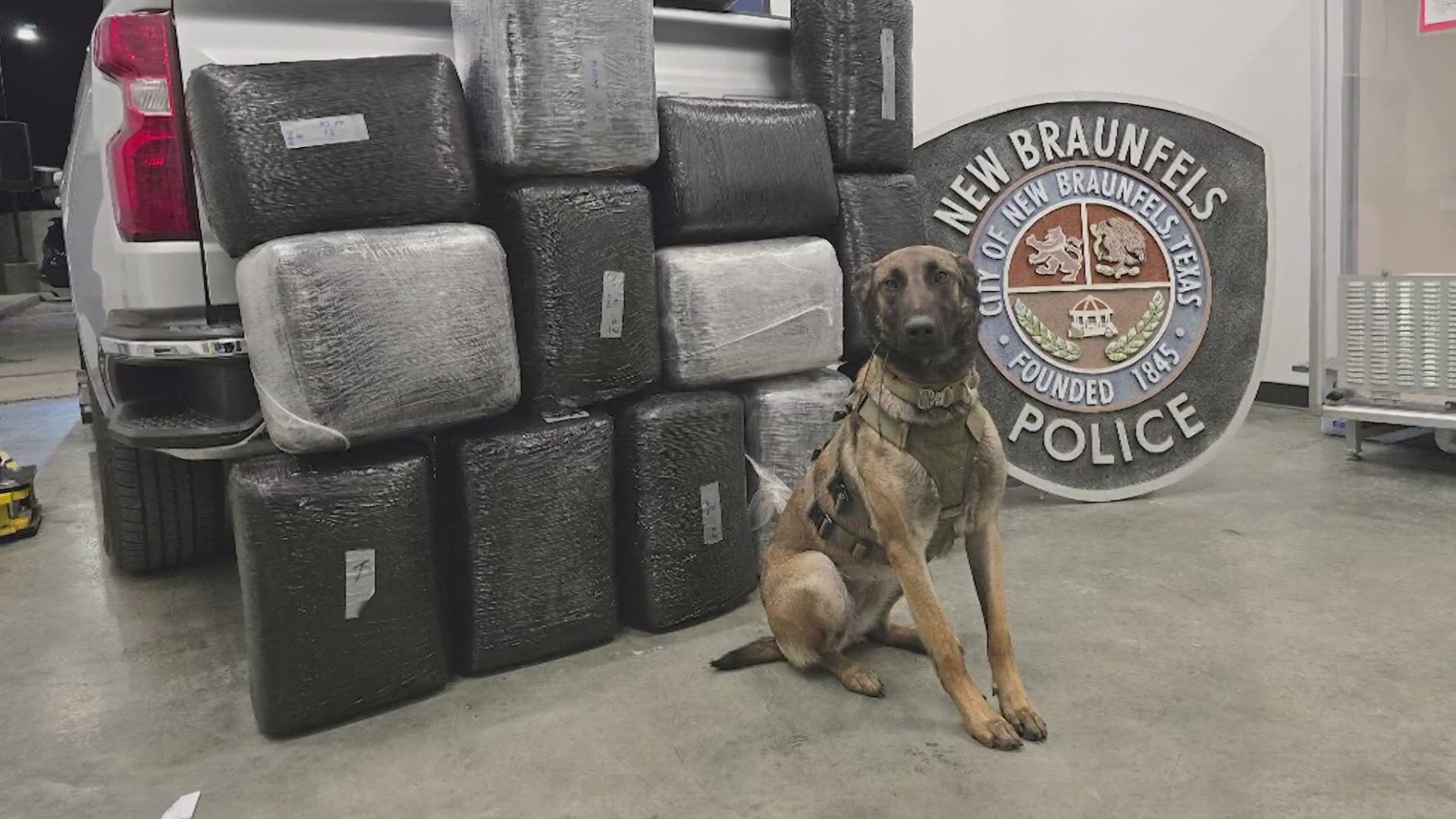 Man busted in New Braunfels with 300 pounds of marijuana