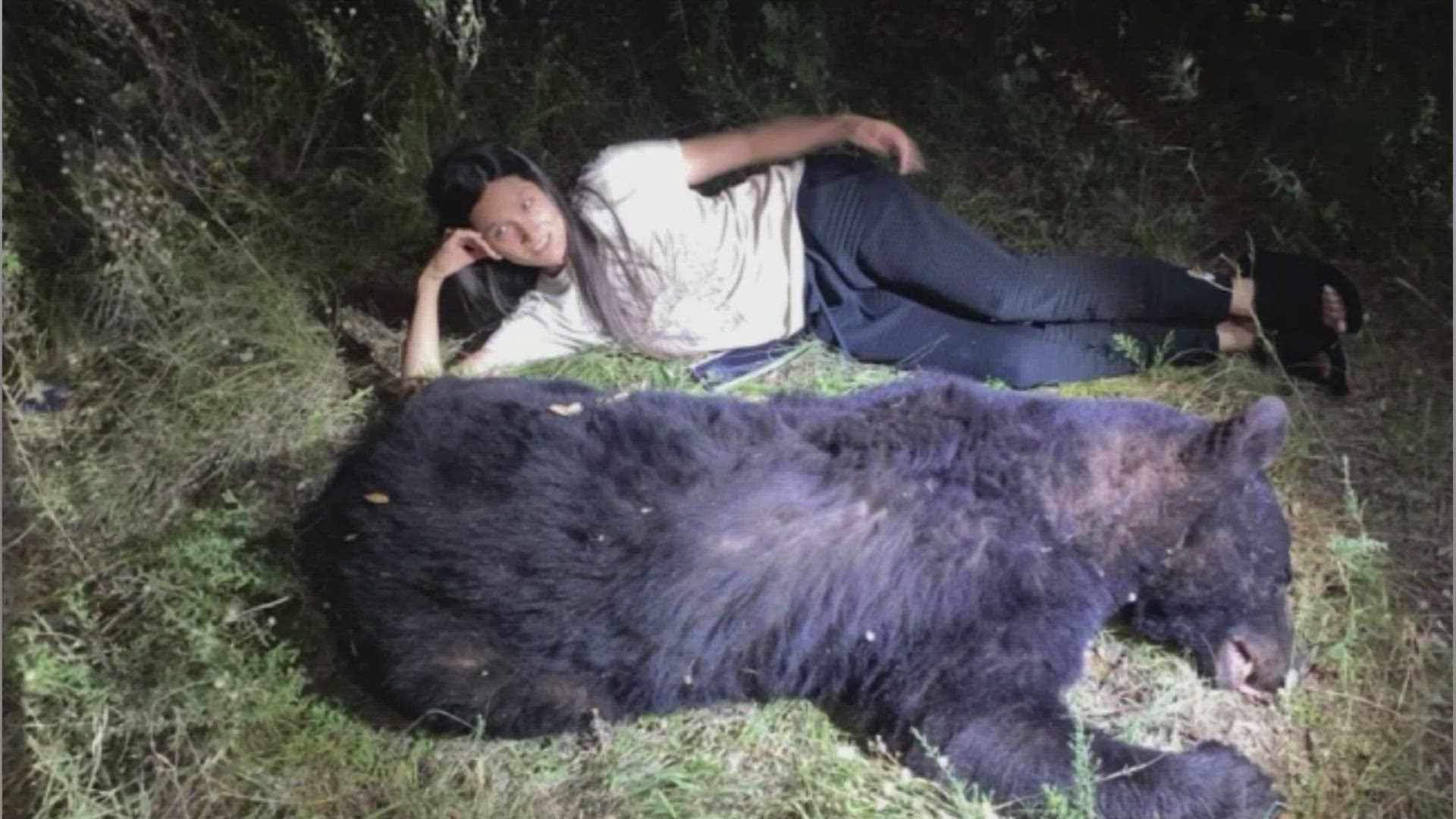 Woman collides with rare black bear on Texas road