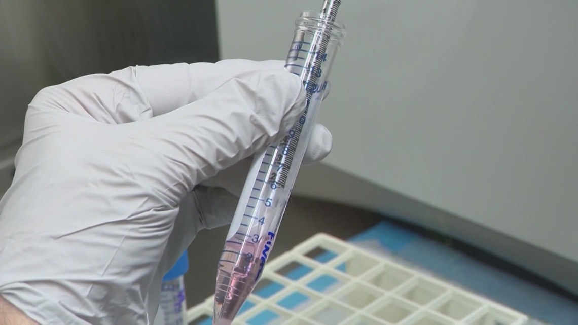 Texas Democrat drafting bills to protect IVF treatment - Vimarsana News