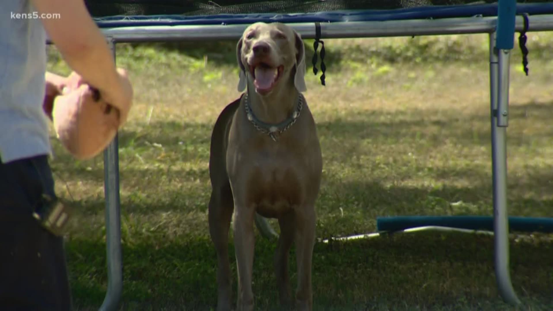 A Houston man is thankful to the Leon Valley community for finding and saving his lost dog.