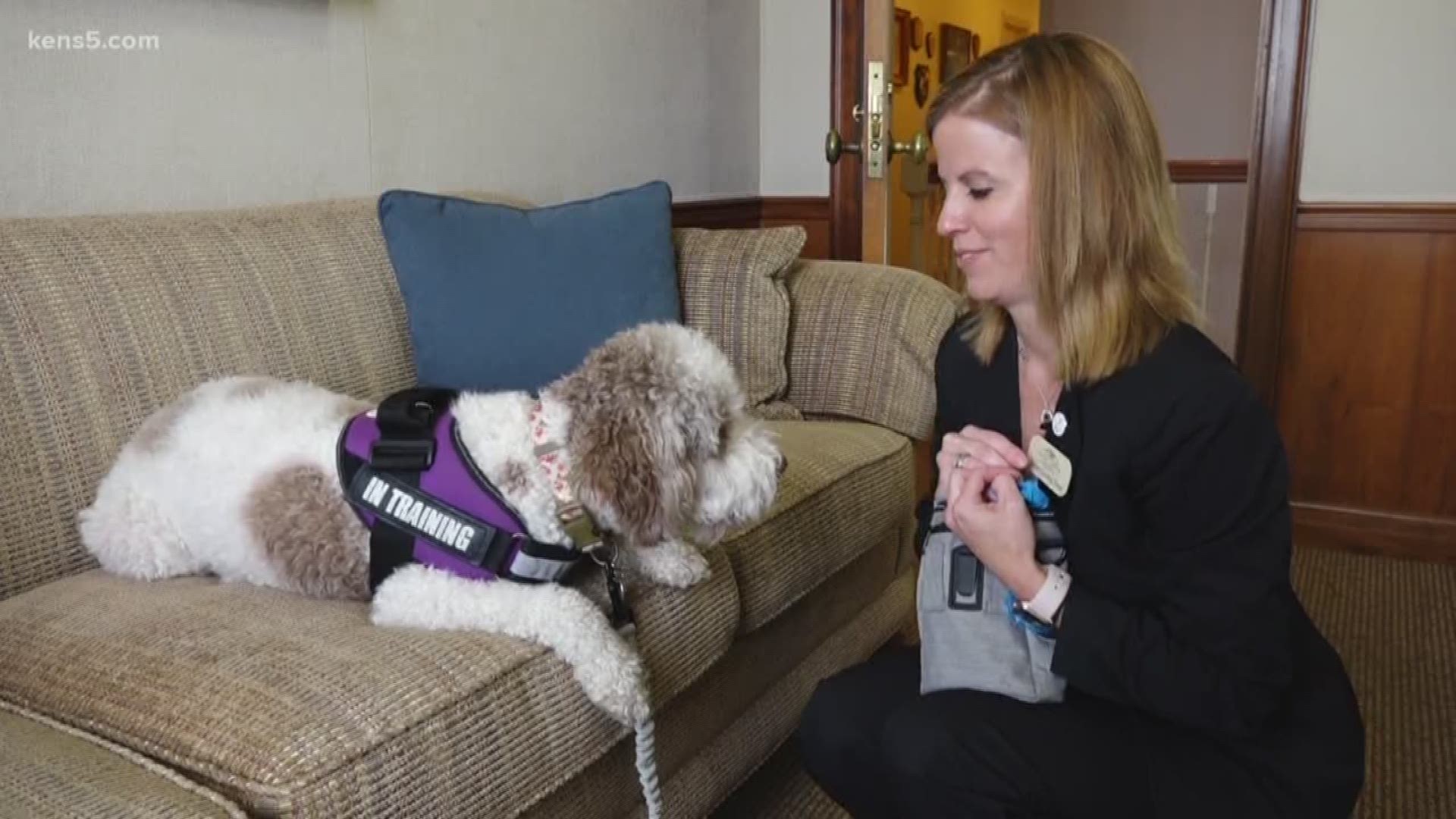 Porter Loring Mortuaries has a four-legged staff member that's dedicated to help families in their time of grief.