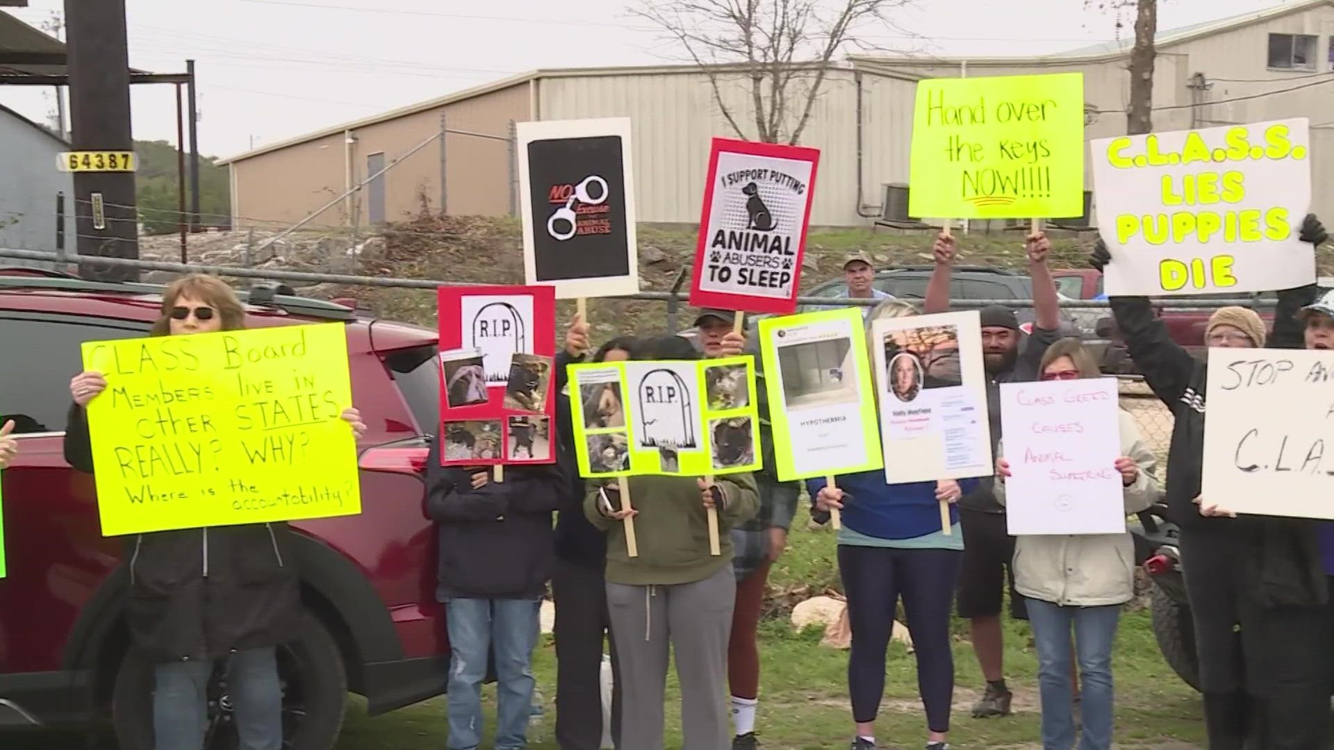 Disappearing dogs and disease': Protesters gather at Canyon Lake Animal  Shelter Society, bring disturbing allegations to light 
