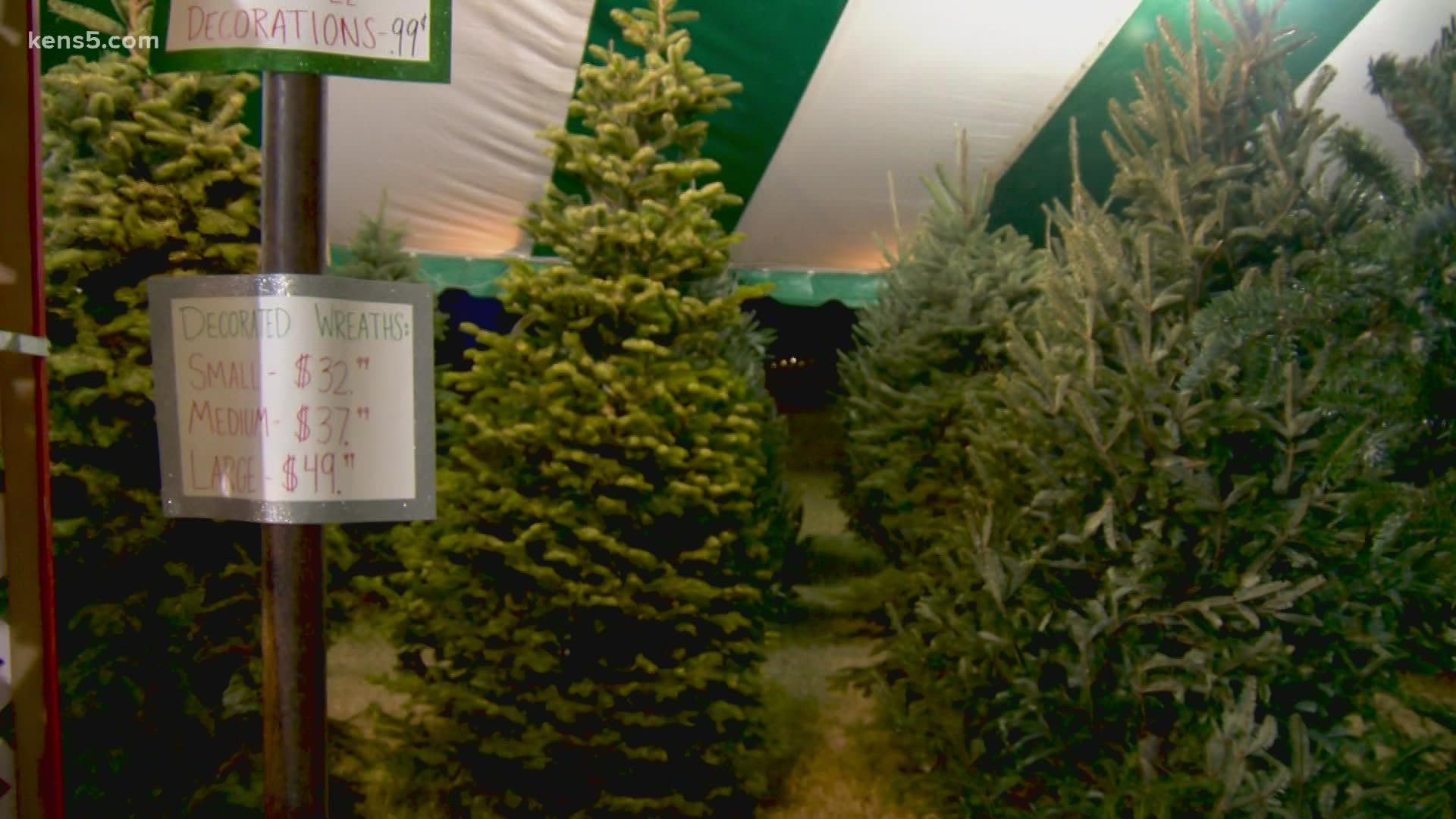 Contemplating on getting a Christmas tree this year? You may want to hurry up and make a decision. The demand is high, and the prices are on the rise, too.