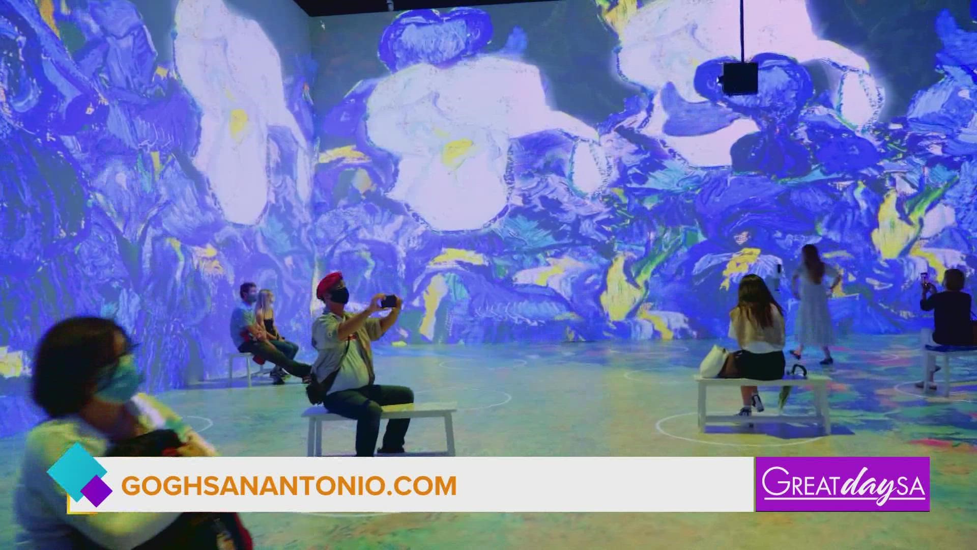 Clarke gets a sneak peek at San Antonio's newest immersive art exhibit