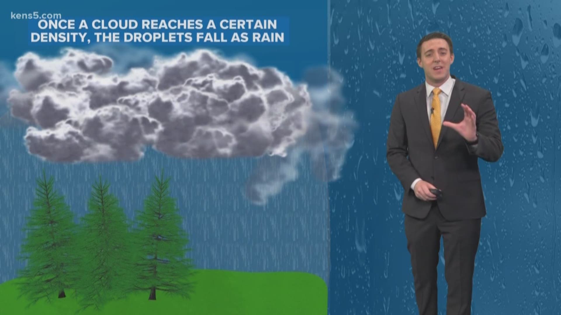 Rain is something that we see fairly often, but do you ever wonder how it forms?