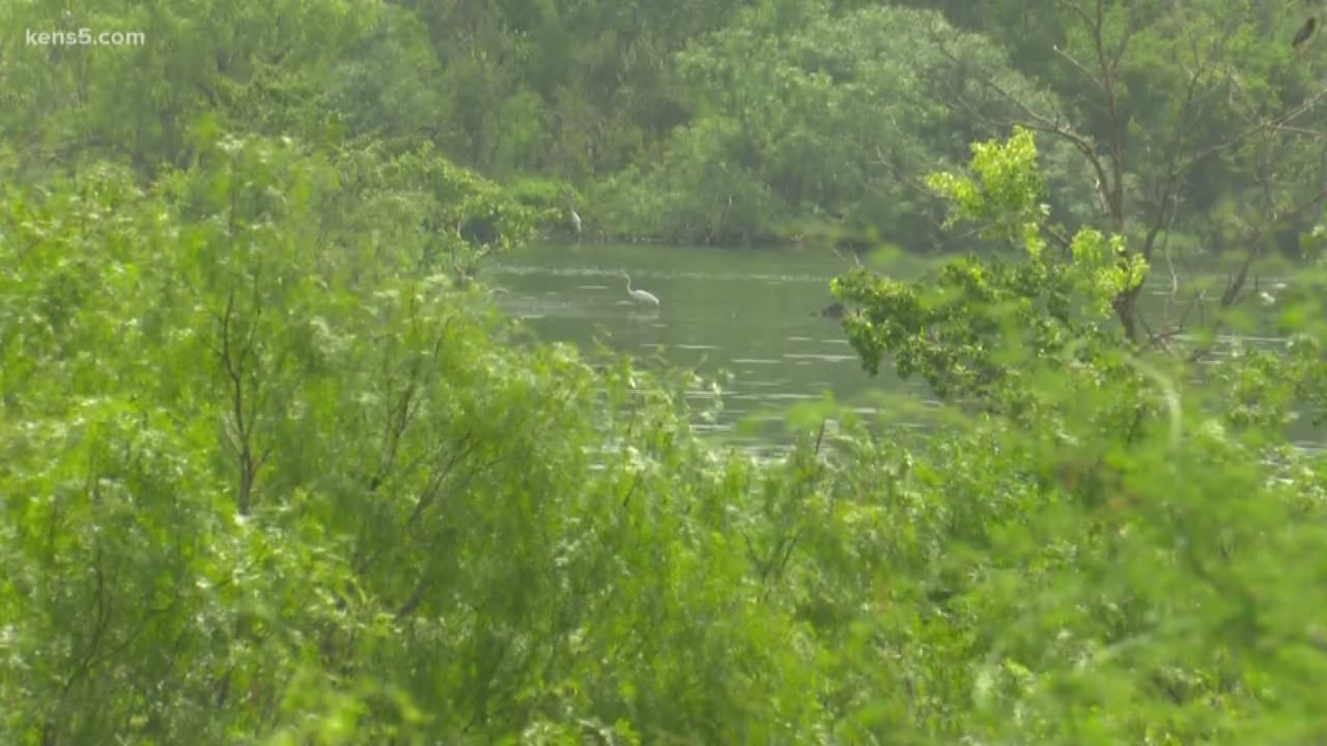 Man Found Dead In Backwaters Of Calaveras Lake Identified | Kens5.com