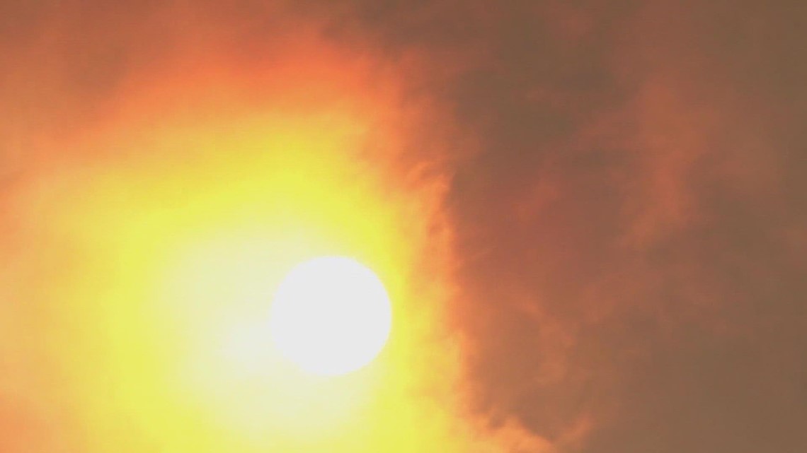 How to protect yourself, your pets, and your family as extreme heat arrives in Texas - Vimarsana News