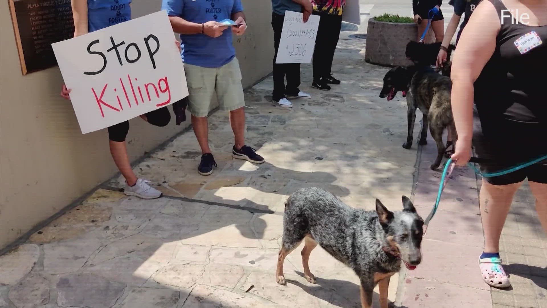 San Antonio Rescue Coalition hosting the 'Stop the Killing March'