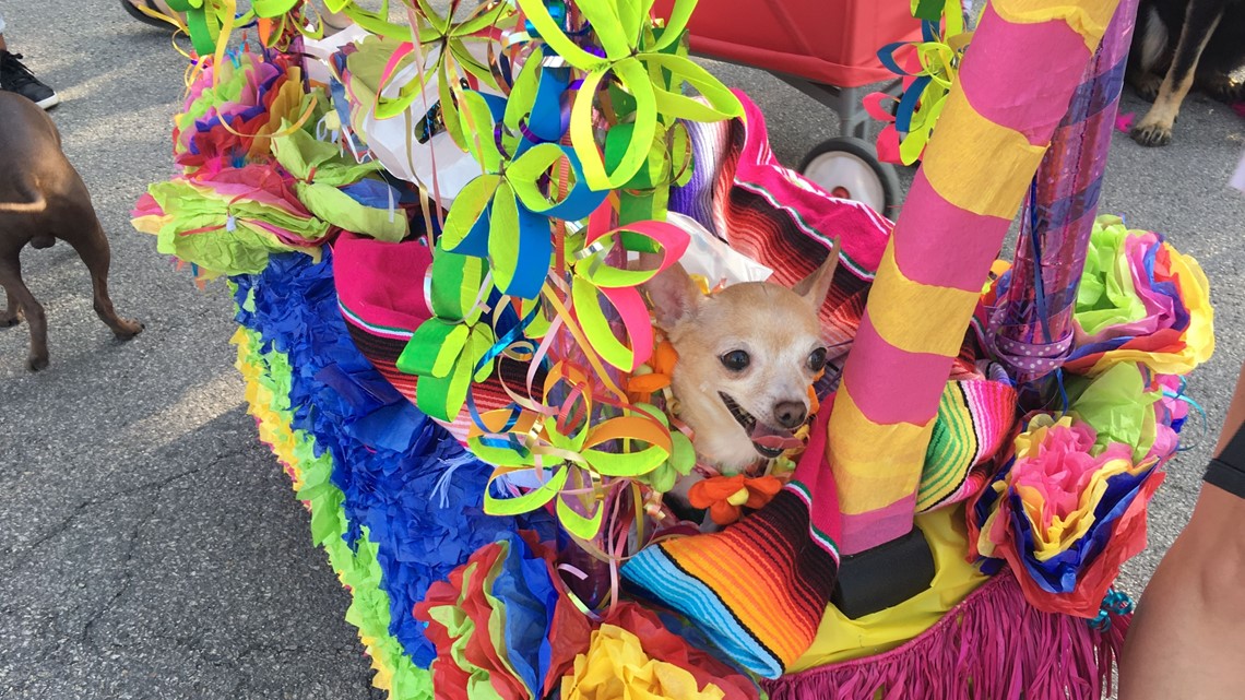 Dogs have their day at Aurora Pooch Parade