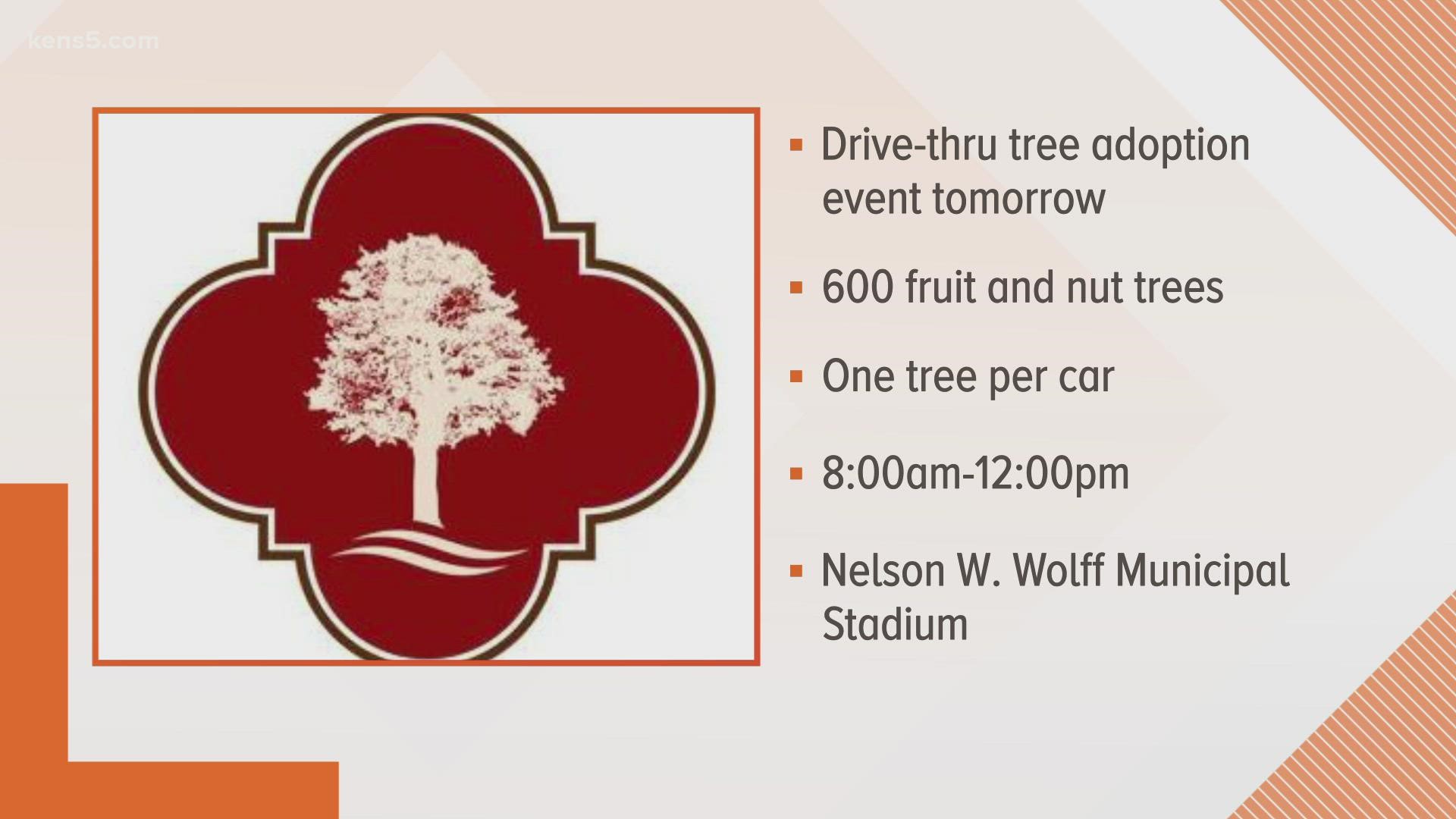 The City of San Antonio says 600 fruit and nut trees will be up for grabs!