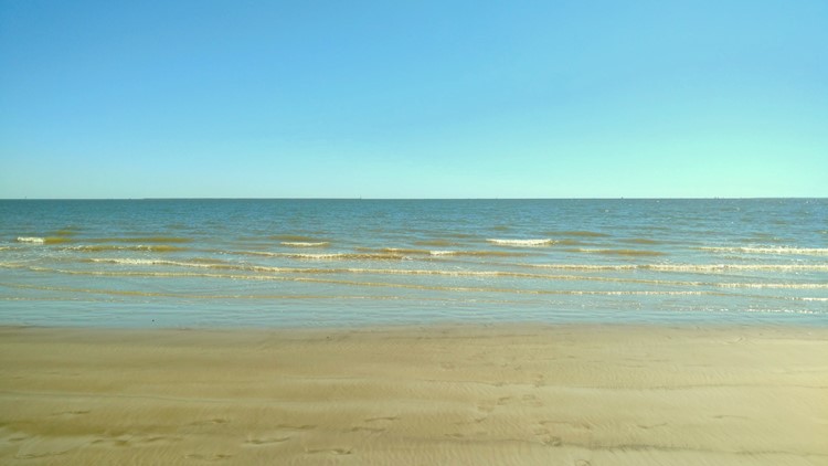 Texas Gulf Coast Beaches Reporting High Levels Of Fecal Matter