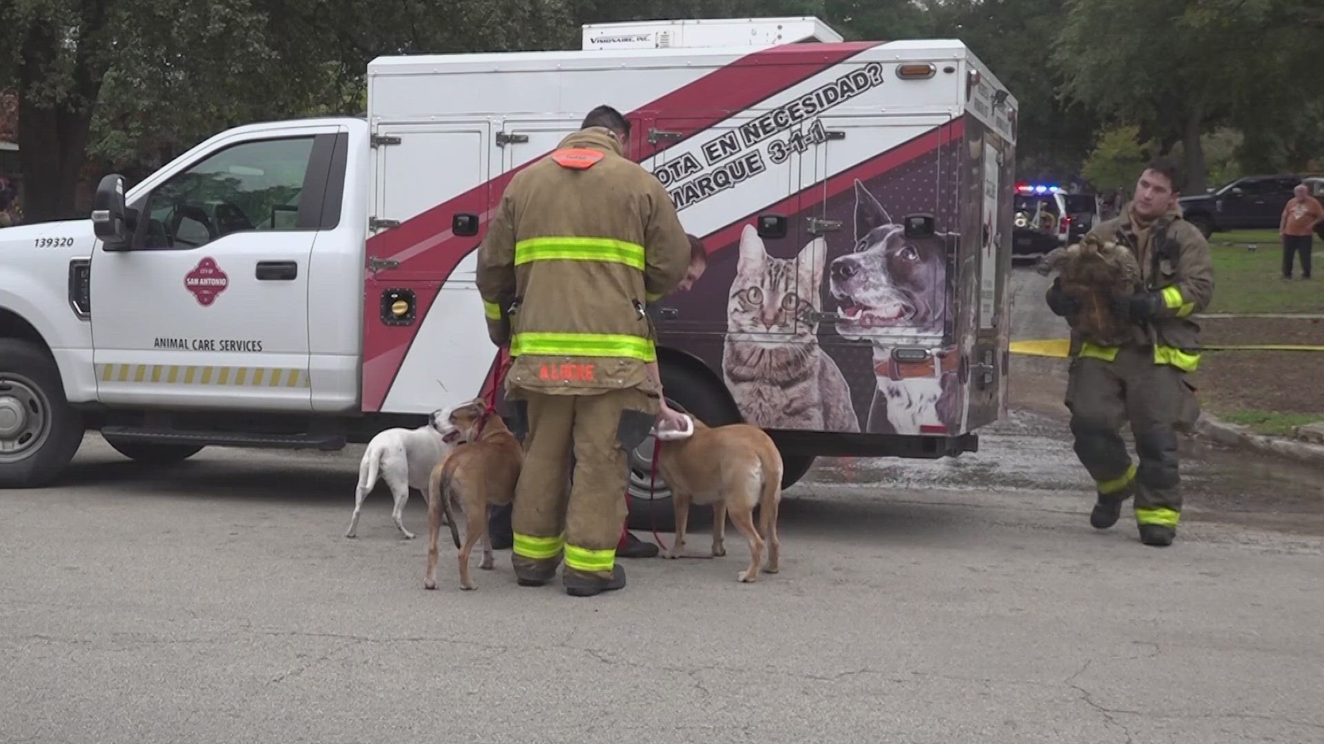 Several animals rescued after house fire on city's north side