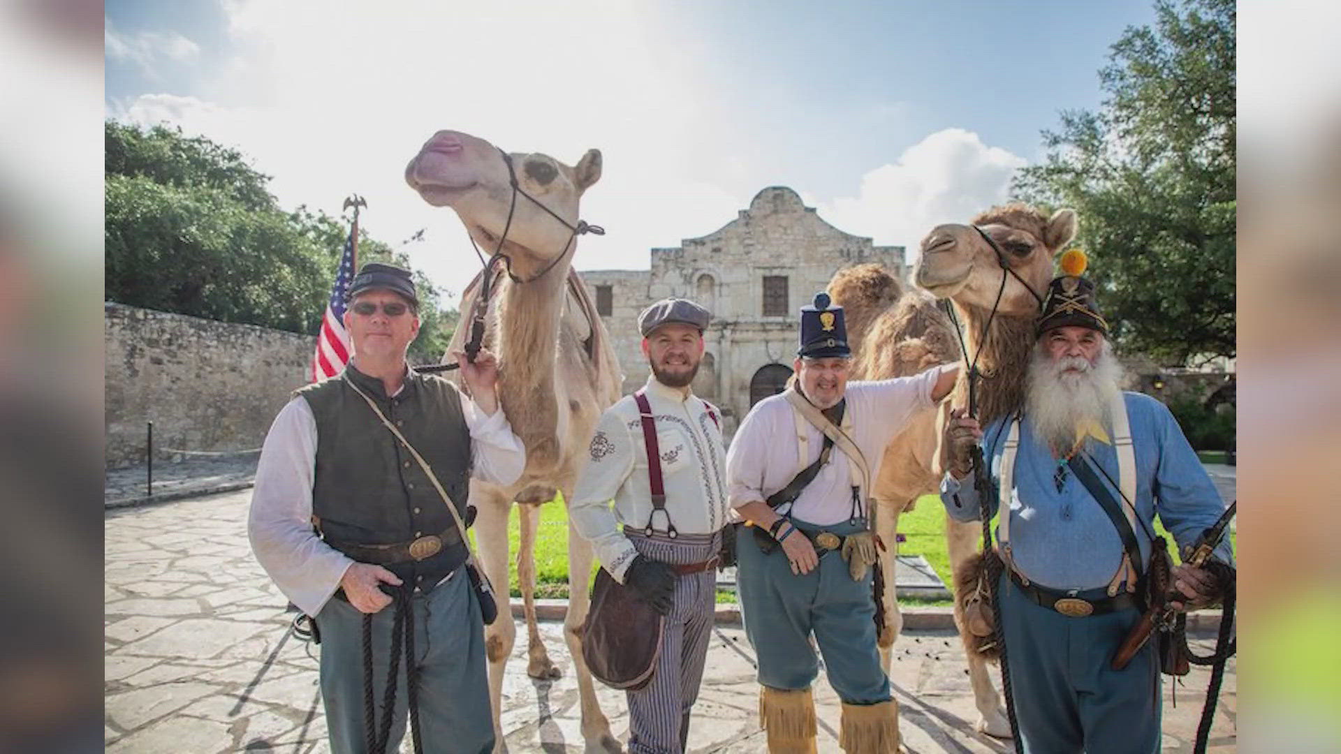 Back in the 1850s, camels were tested right here in San Antonio for military use.