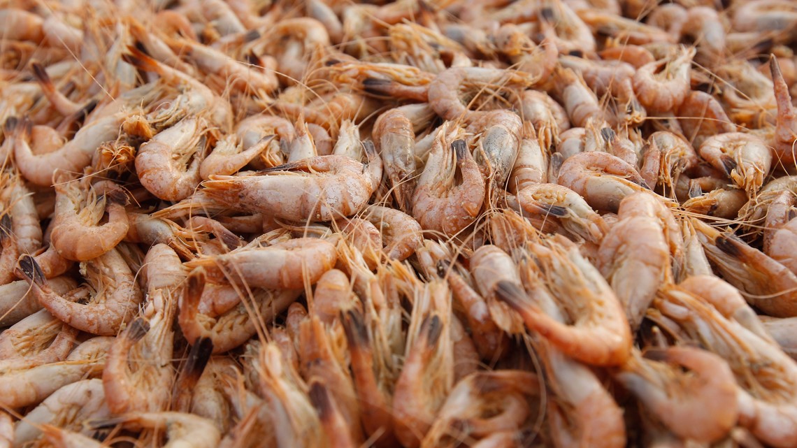‘Crisis on top of a crisis’ | High fuel prices has Texas shrimping industry at virtual standstill