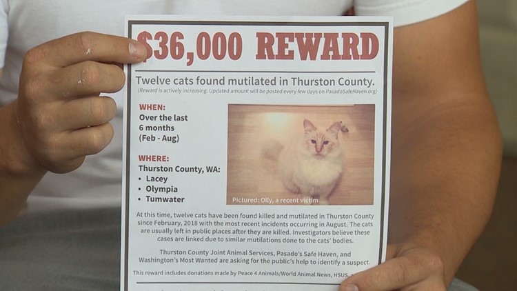 13th cat found dead linked to Thurston County serial cat killer 13th cat found dead linked to Thurston County serial cat killer