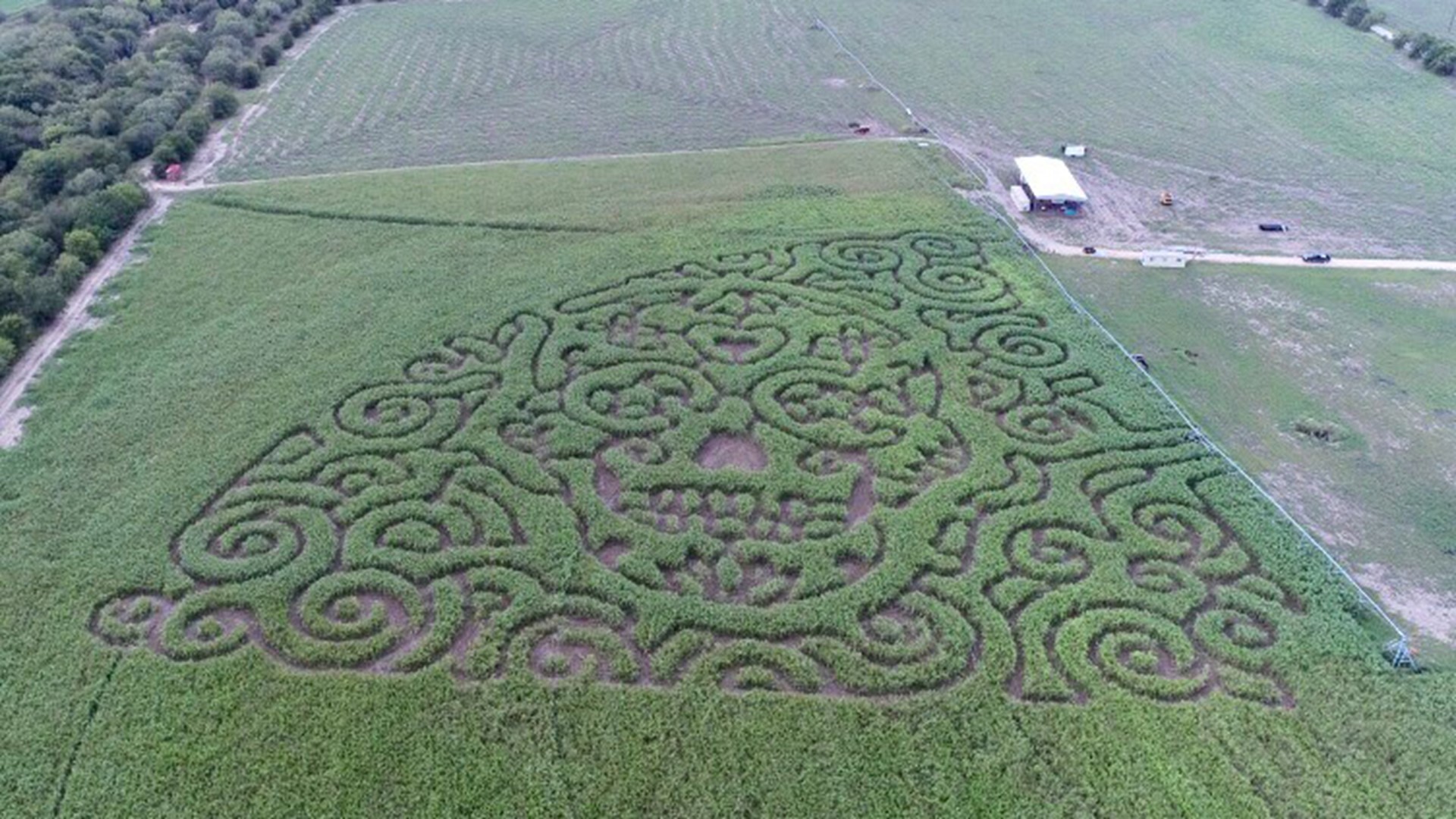 Sugar skull maze opening near San Antonio | kens5.com
