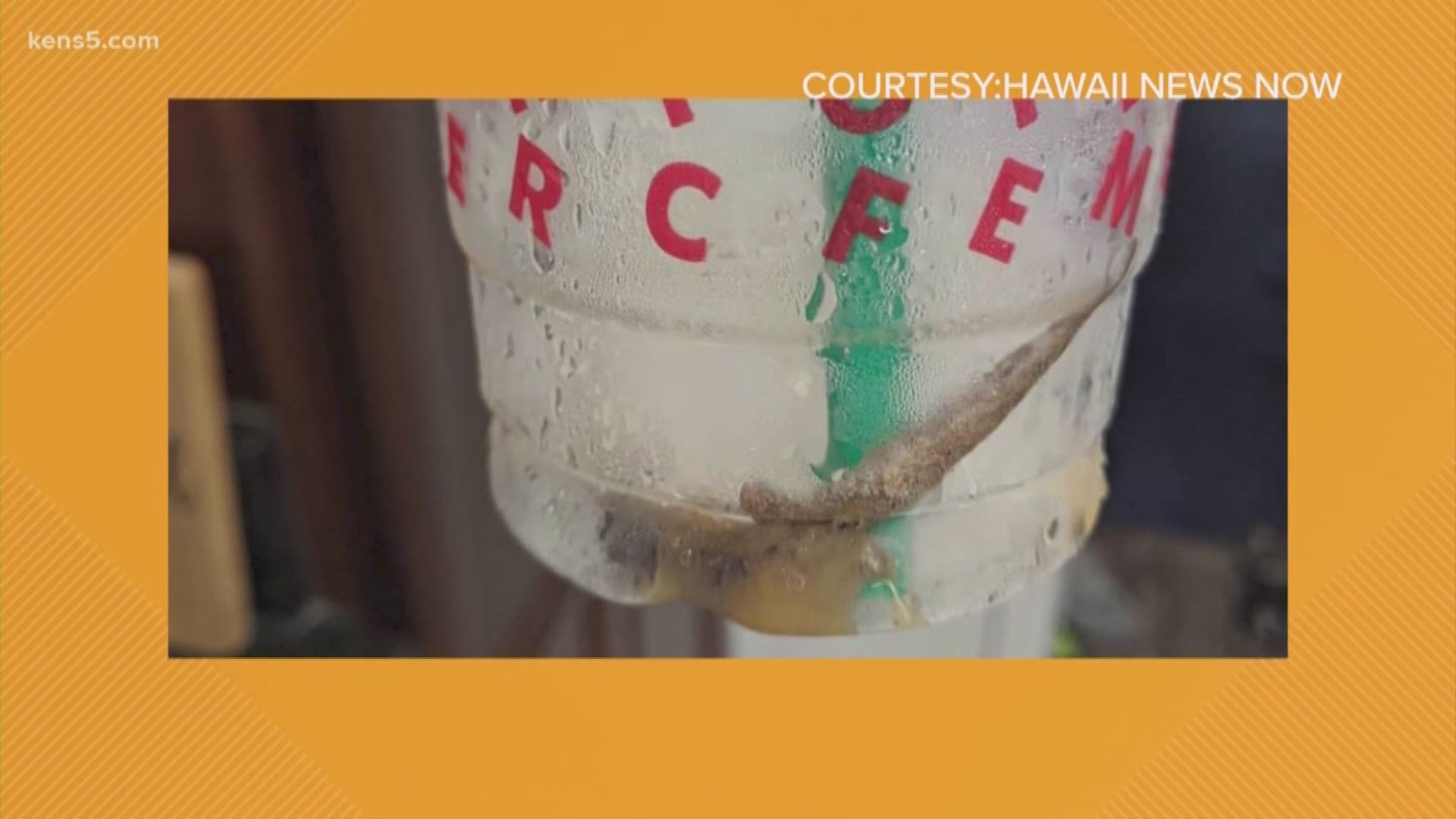 A man in Hawaii claims he finished his Starbucks Cold Brew and then found a dead lizard at the bottom of the cup.
