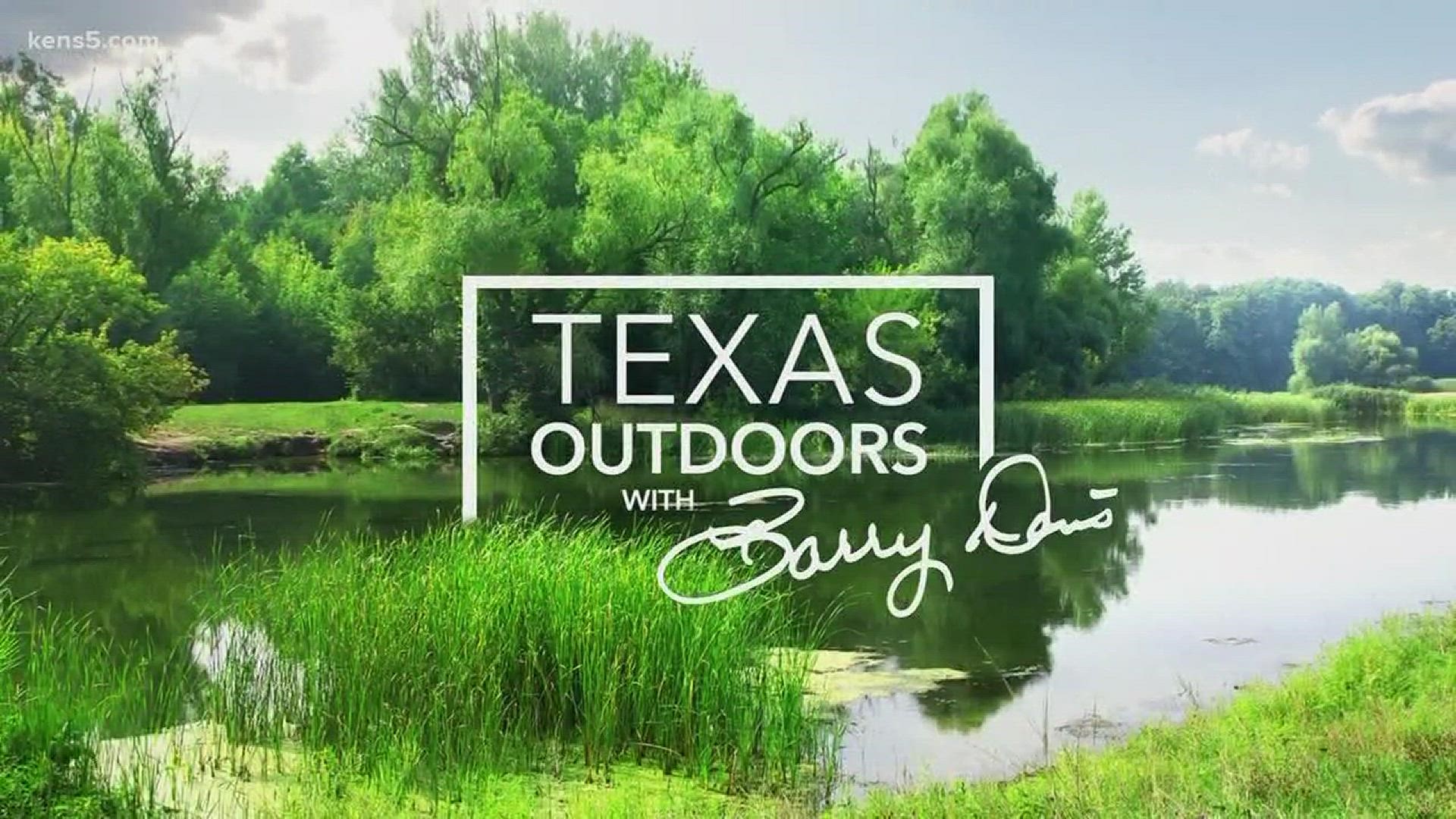 Step outside with Barry Davis!