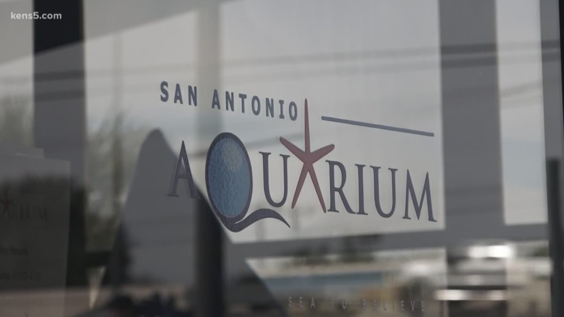 San Antonio Aquarium reopens after approval from inspectors