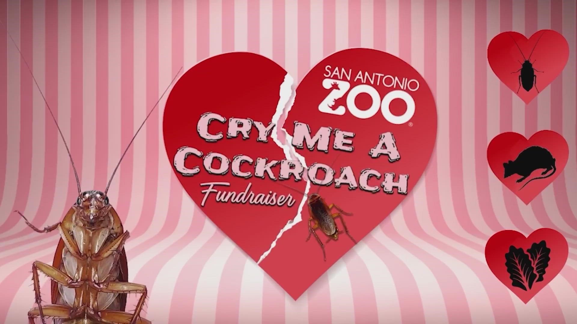 For a small donation the zoo will name a roach after your ex and send you a video of an animal eating it.