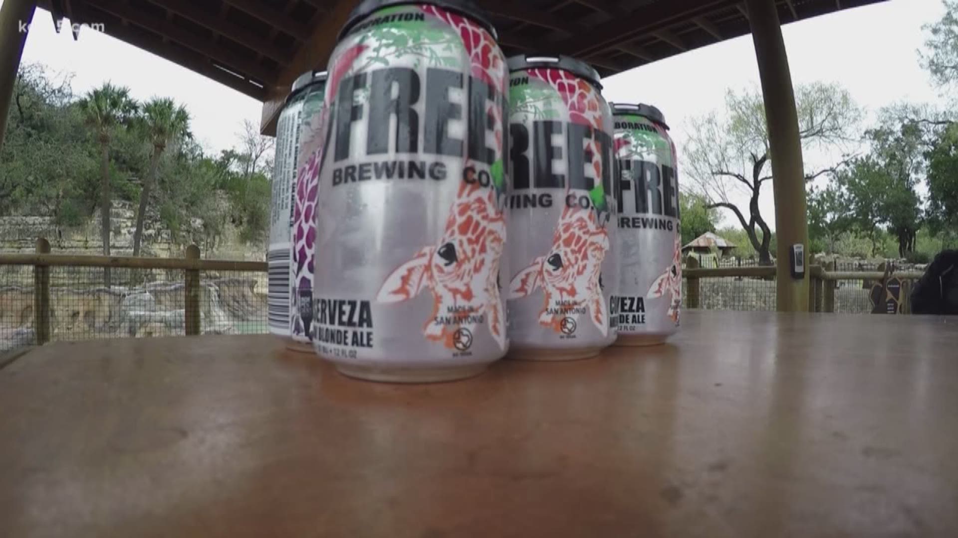 On this National Zoo Lover's Day here's something to cheer about. Freetail Brewing Company, and the San Antonio Zoo partnered up on new beer that has a global impact. Eyewitness News Reporter Henry Ramos has more.