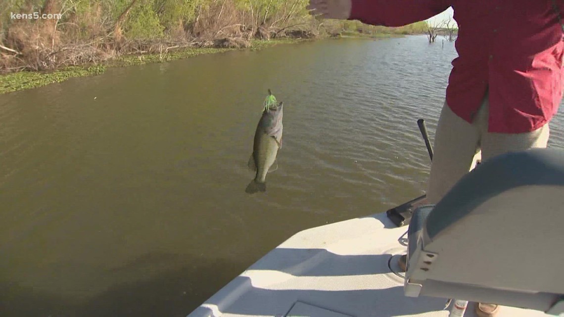 Bass fishing in Texas: How many we caught while on the water