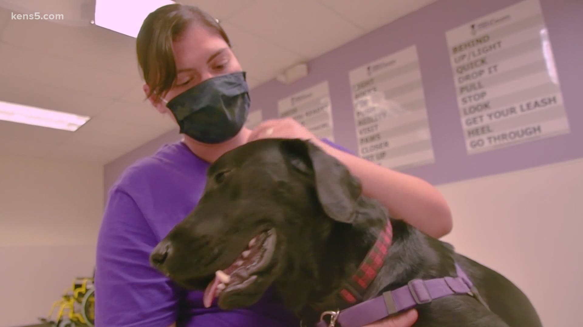 Staff at the nonprofit say the experience benefits humans just as much as the dogs.