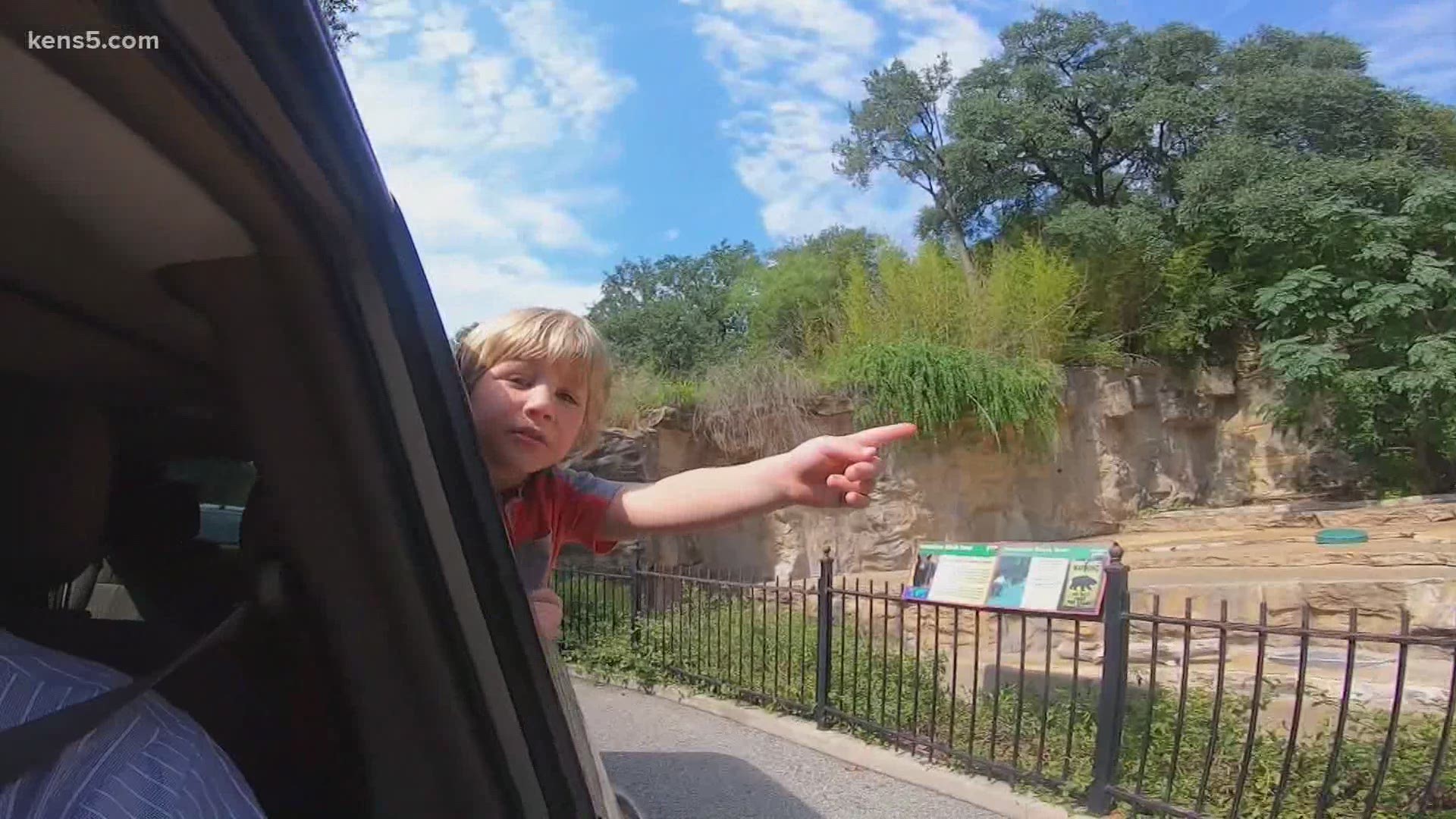 The drive-thru zoo in San Antonio started during coronavirus lockdowns, but was so popular, the zoo kept it going even after the zoo opened to visitors.