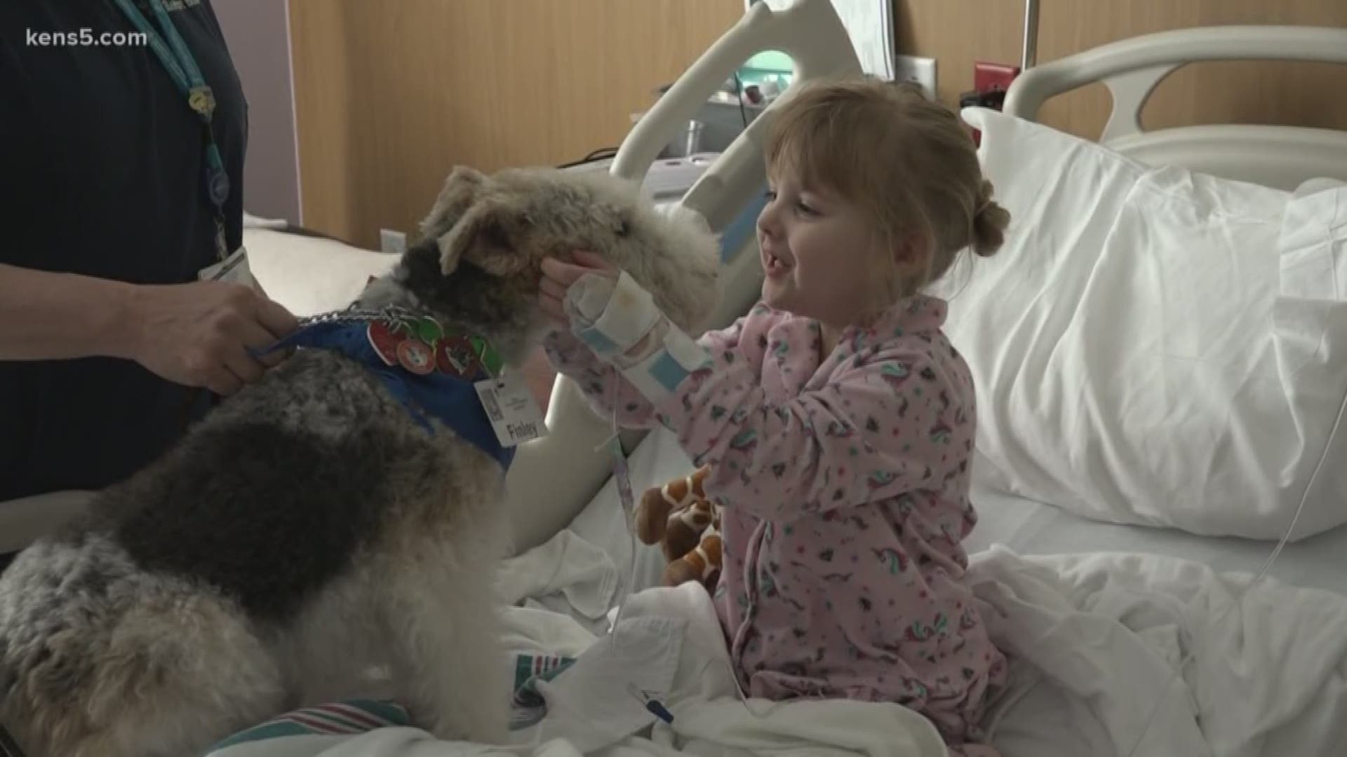 Regular volunteers at the hospital, Finley and his owner are tireless in their pursuit to making the days of young Baptist Hospital patients just a little bit brighter.