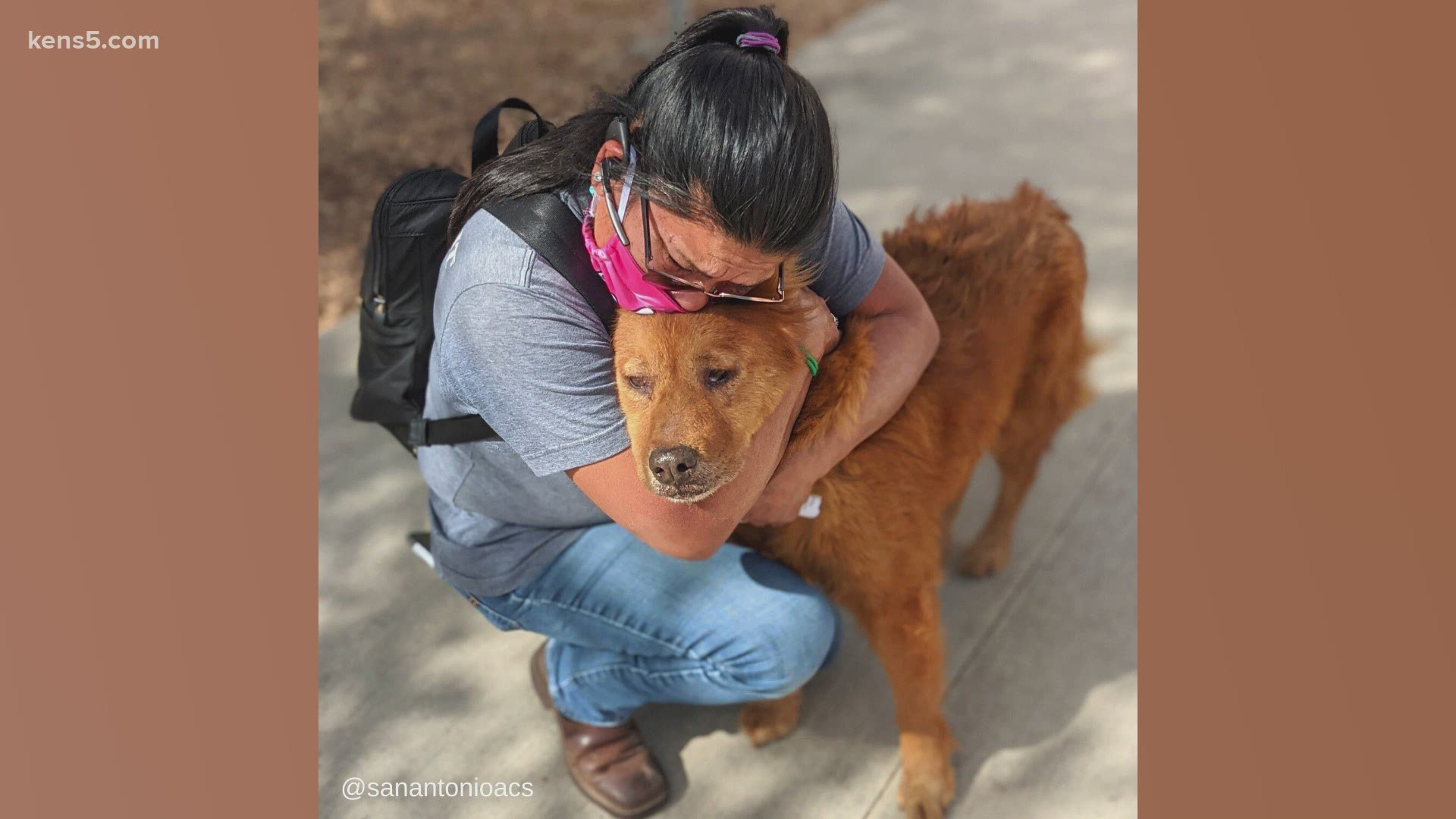 The dog, named "Honey," was brought into the city's Animal Care Services last week as a stray. His owner dropped to her knees when she saw him.