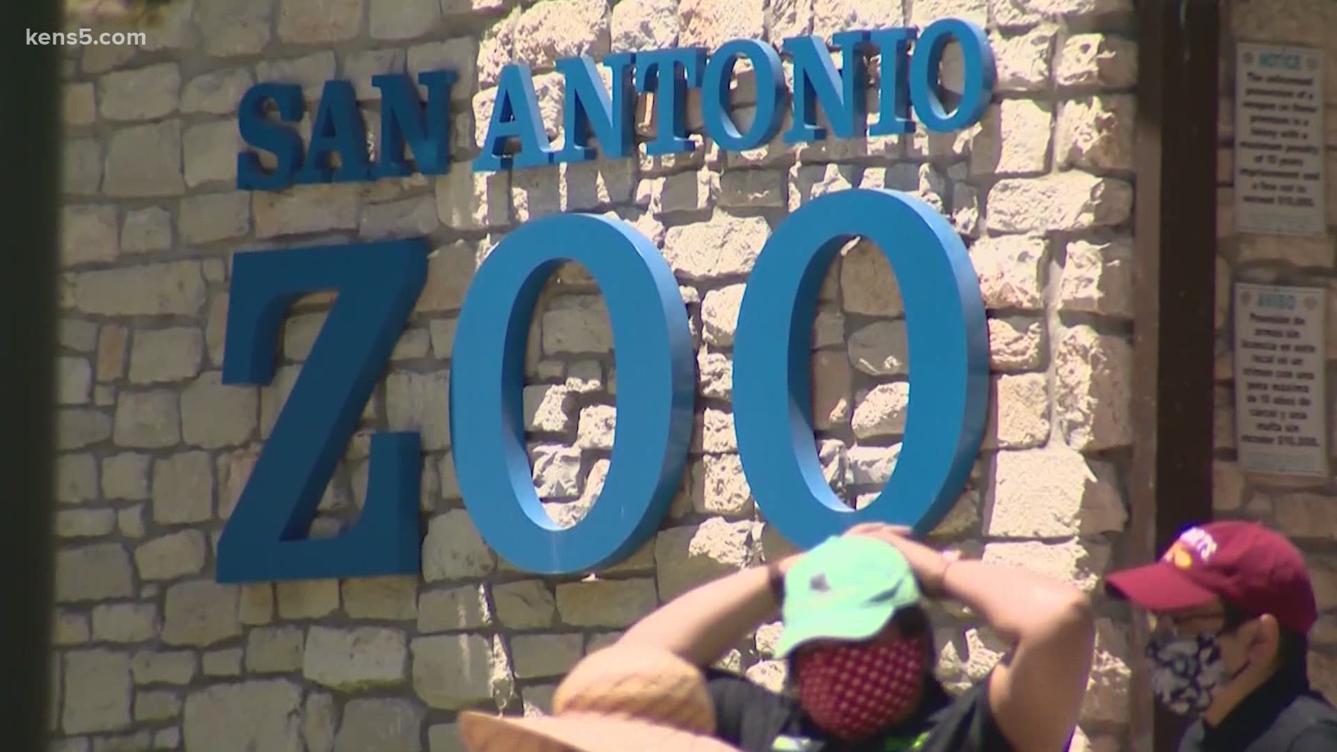 Governor Greg Abbott announced zoos can reopen under Phase II of his plan to reopen the Texas economy.