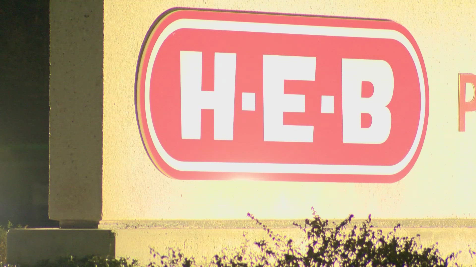 A woman allegedly attempted to steal $308 of goods, including beef tongue, from an H-E-B in Lytle and was arrested by police.