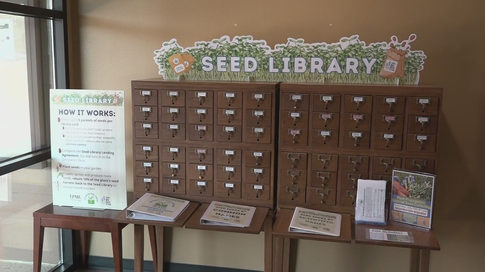 Seeds are sprouting among the literature at a Canyon Lake library