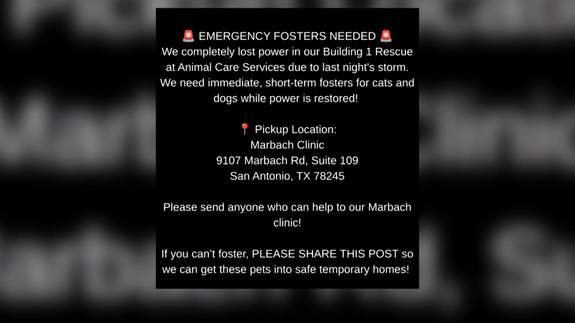 San Antonio Pets Alive! needs your help fostering pets while they restore clinic...