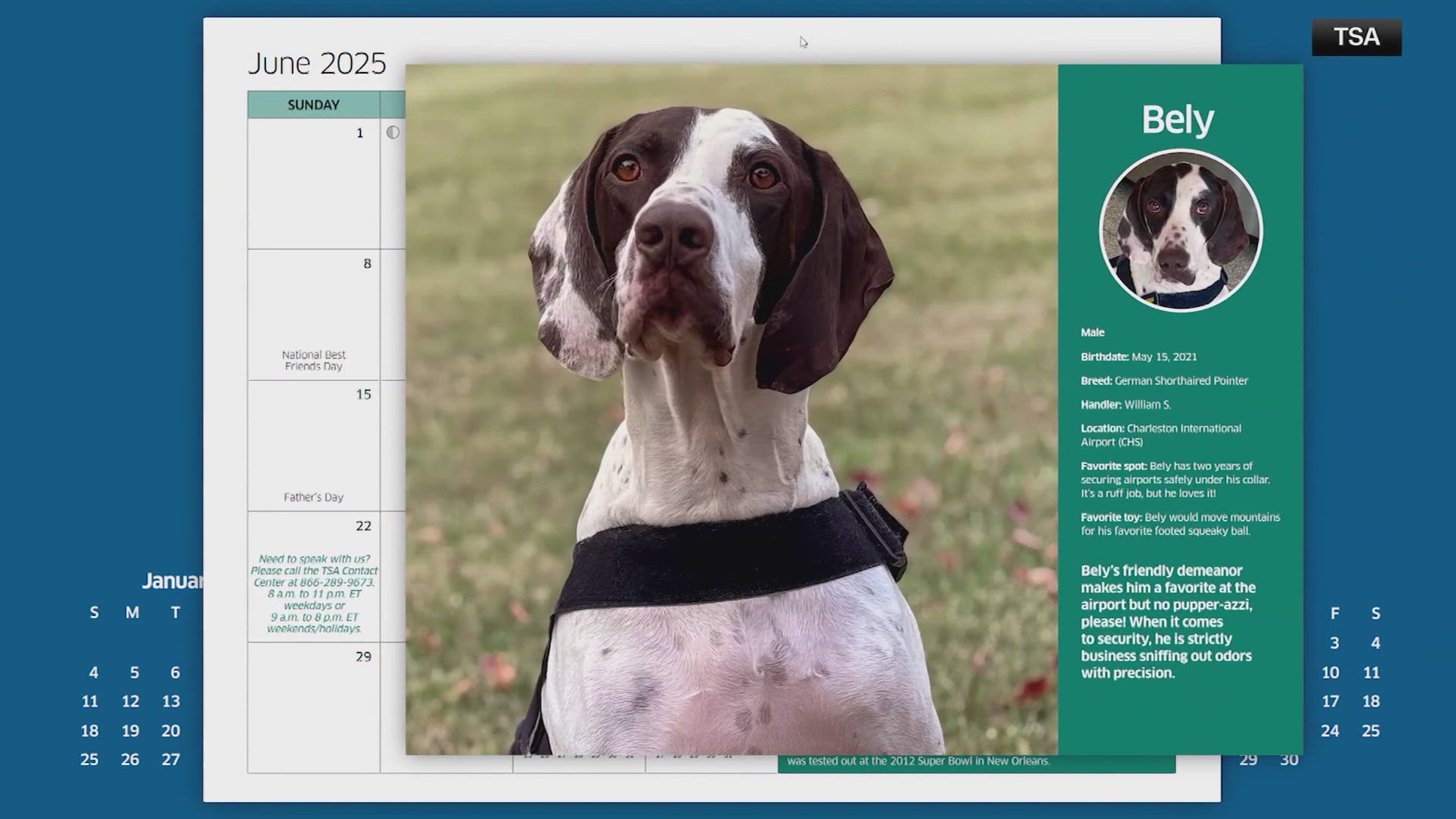 TSA unleashes 2025 K9 calendar