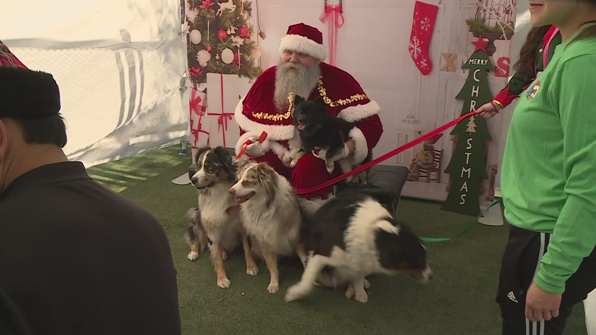 Folks brought their dogs to visit jolly old Saint Nick and had their picture taken with him. And the money was for a good cause!