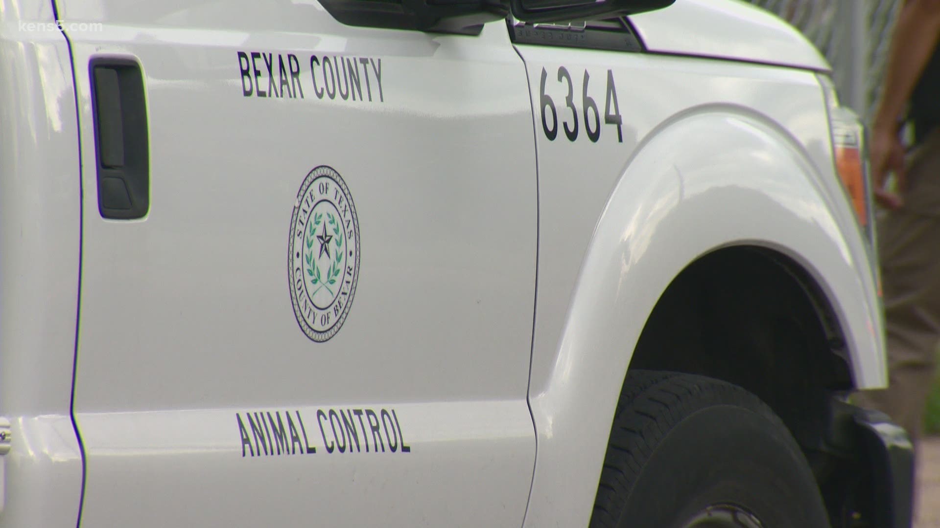 A representative for BCSO confirmed that the attack took place on Ray Lieck, outside Loop 1604 and a few miles west of SeaWorld. An investigation is ongoing.