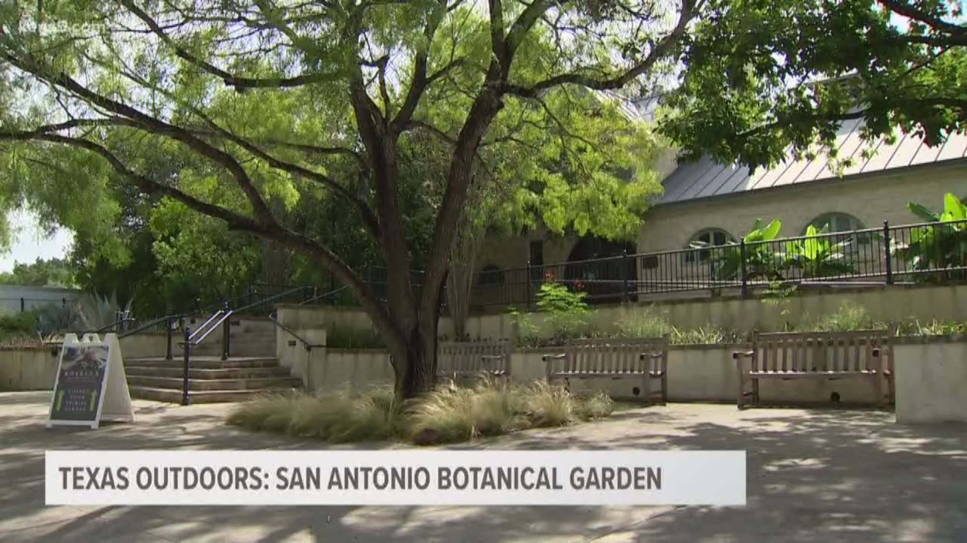 The San Antonio Botanical Garden has finished an expansion 20 years in the making, and the results are astonishing!