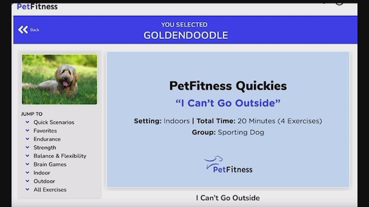 Former personal trainer creates website for pets to work out