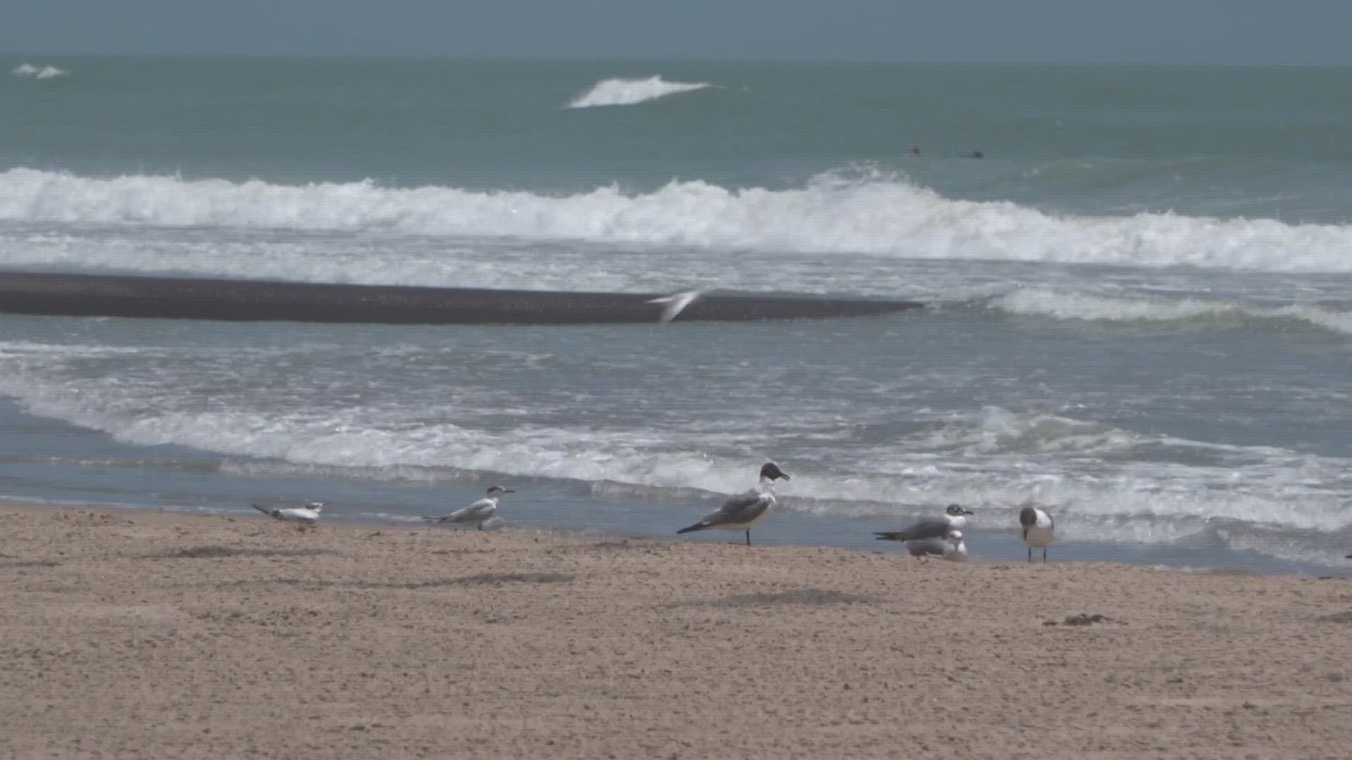 Close tyo 94,000 cubic yards of sand is being placed at South Padre's Isla Blanca Park, expanding the width of the beach.