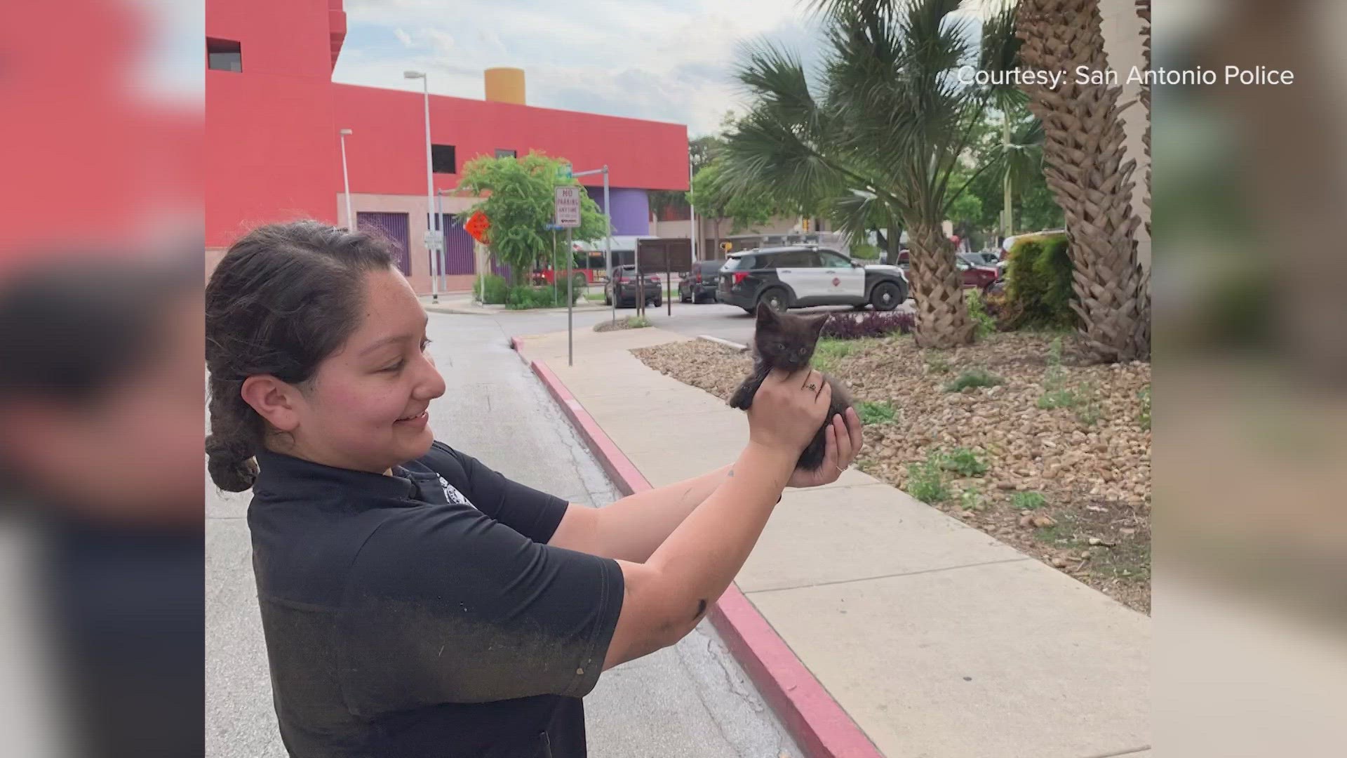 This San Antonio police officer went underneath a car to save a kitten.