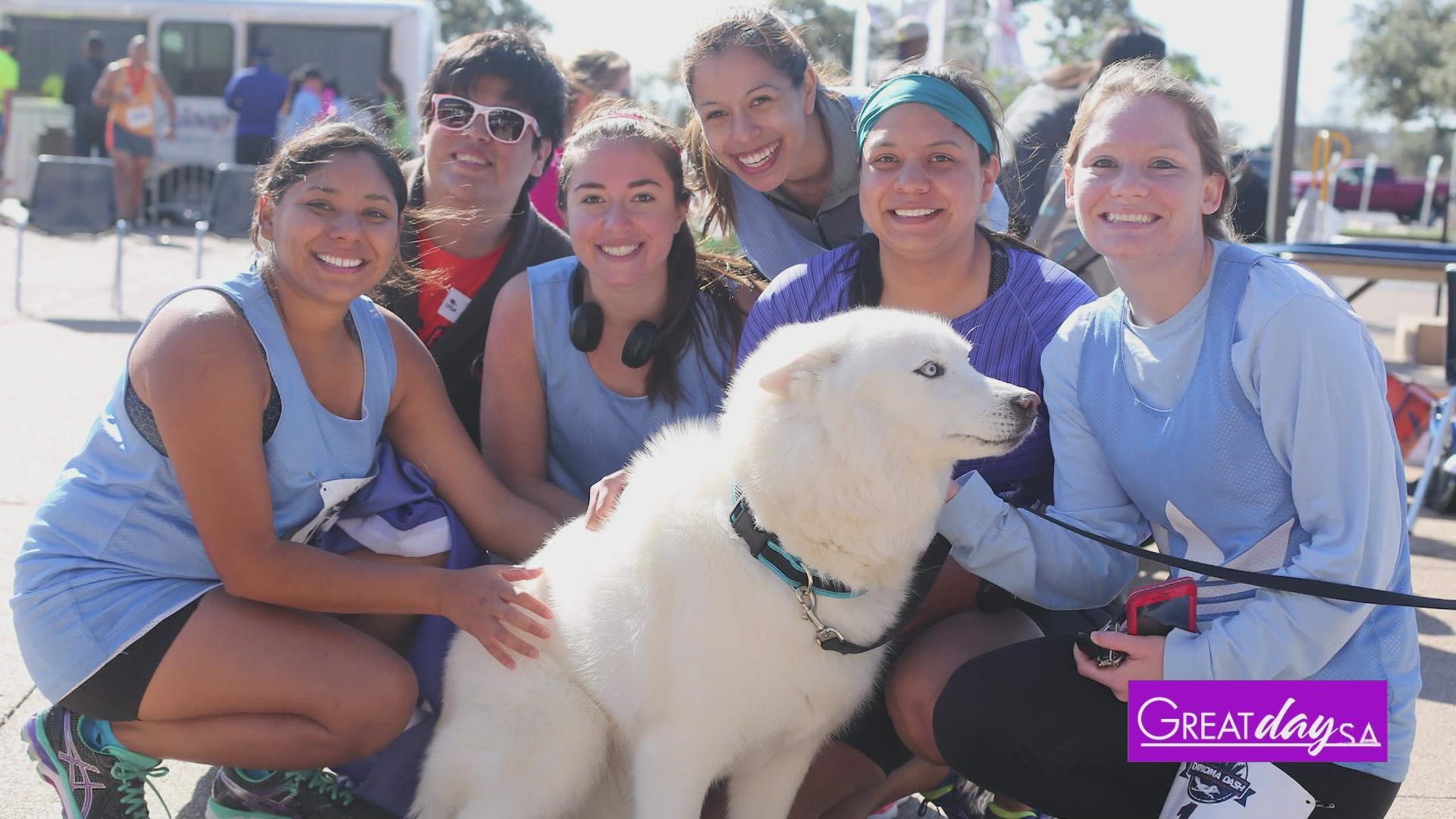 April Ancira shares what people can expect at the 2022 UTSA Diploma Dash