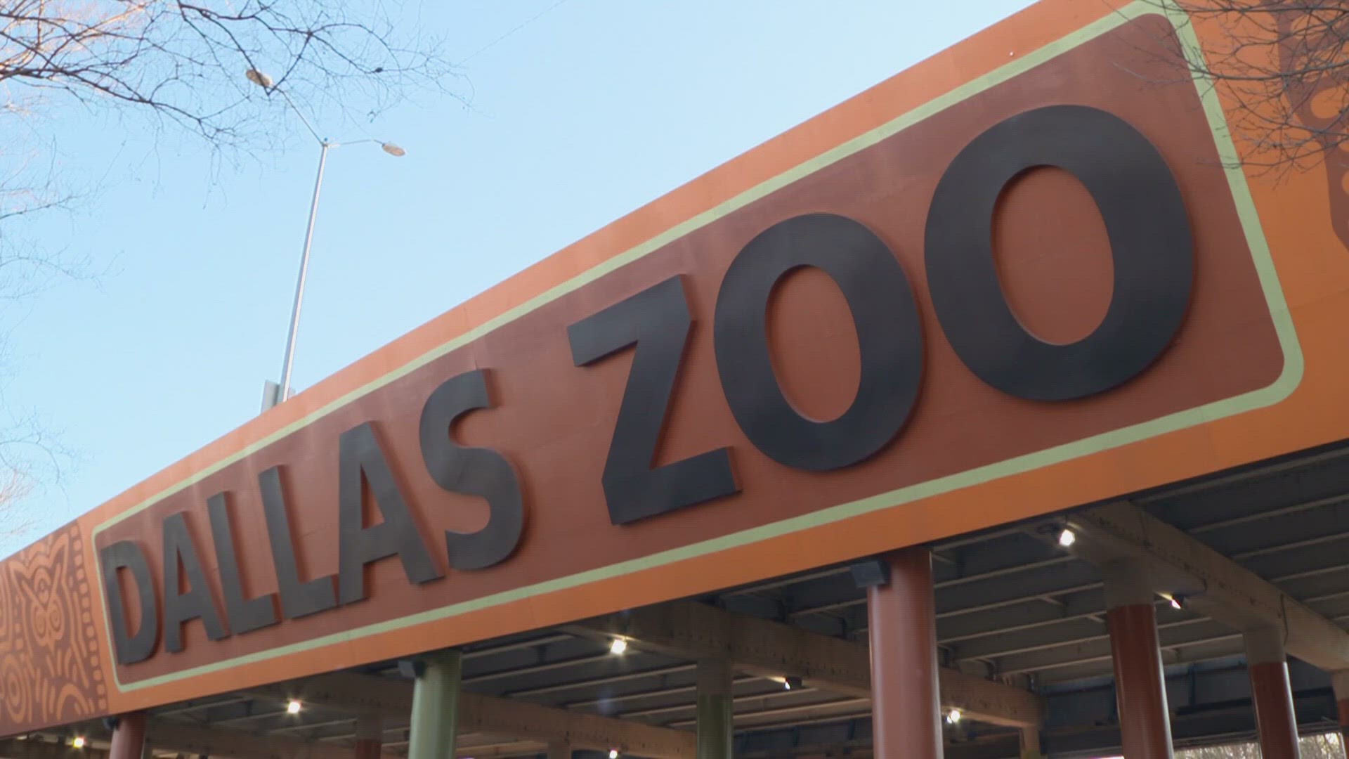 Charges dropped for man accused of stealing monkeys from Dallas Zoo