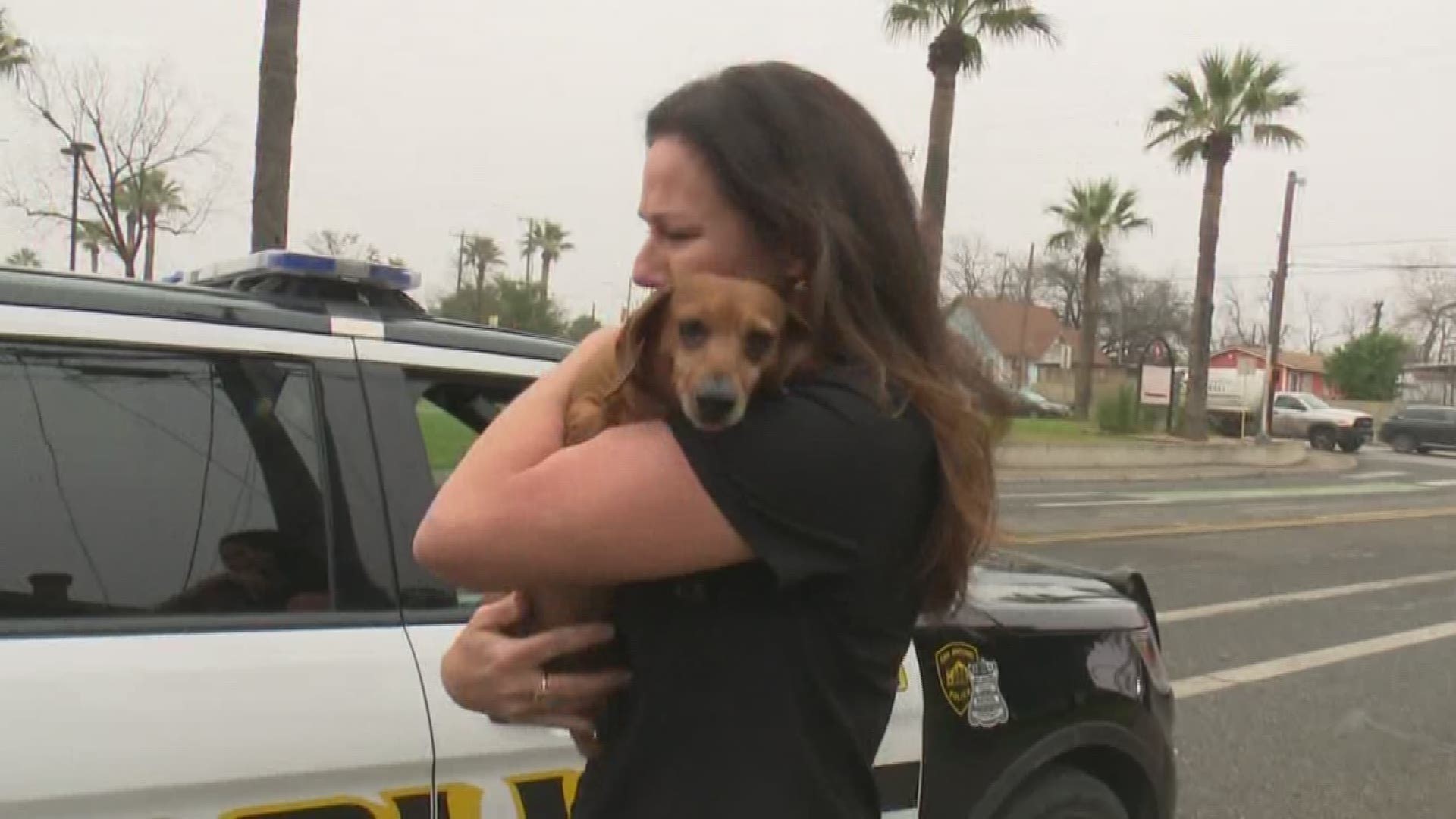 Technology played a role in helping San Antonio police recover a stolen car and dog.