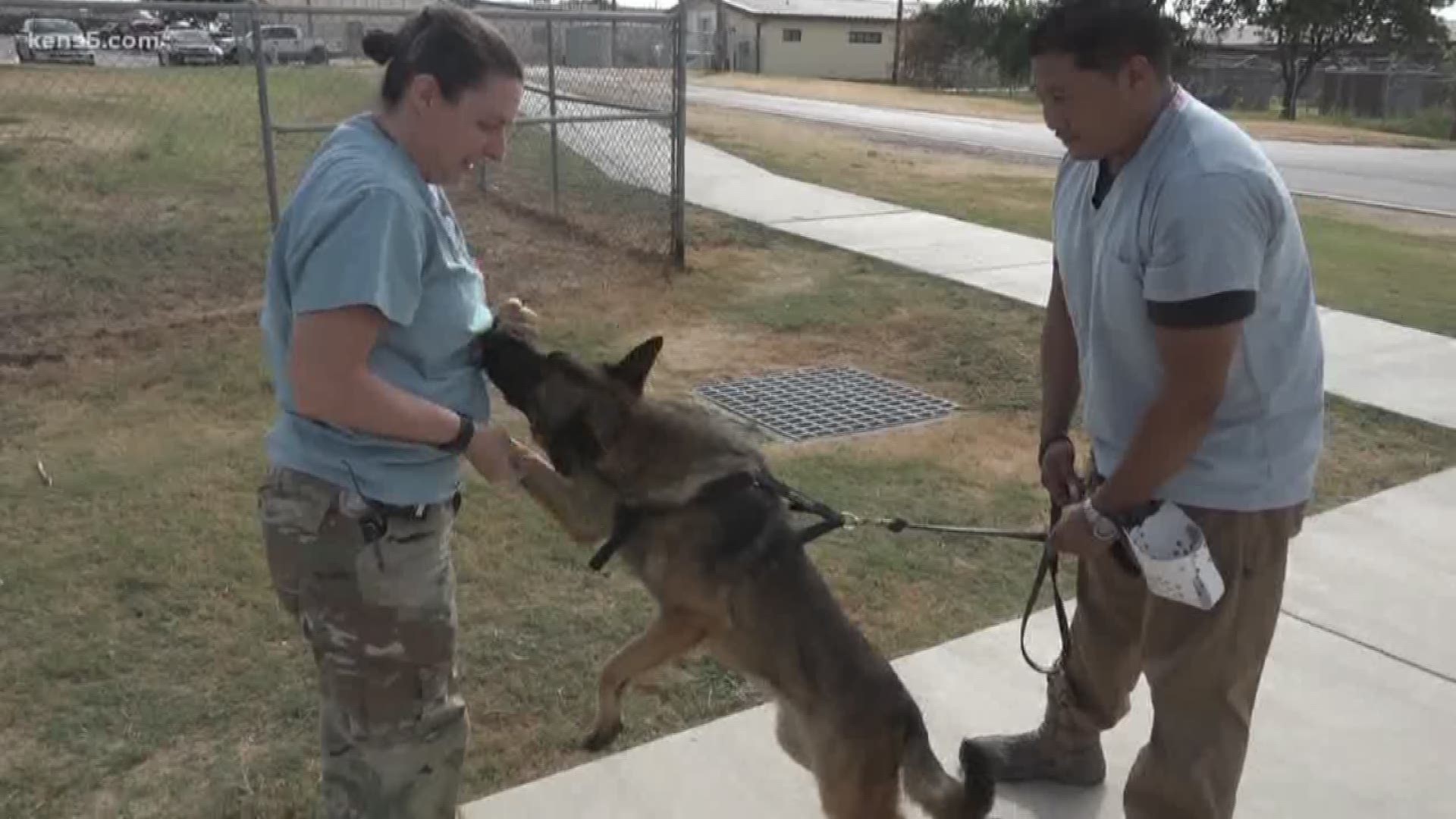 Dr. Walter Burghardt is set to retire after more than two decades of working with military dogs.