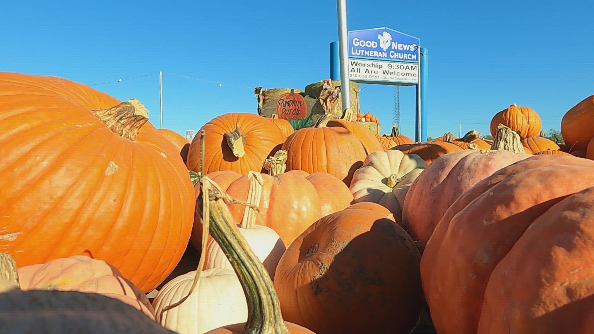 Officials with the church said recently thieves made off with more than a 100 pumpkins from its patch.